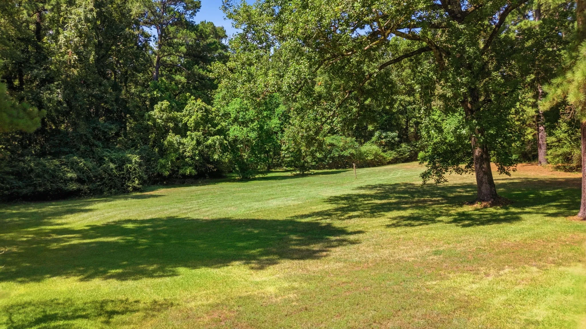 Expansive lawn with mature trees and dense foliage