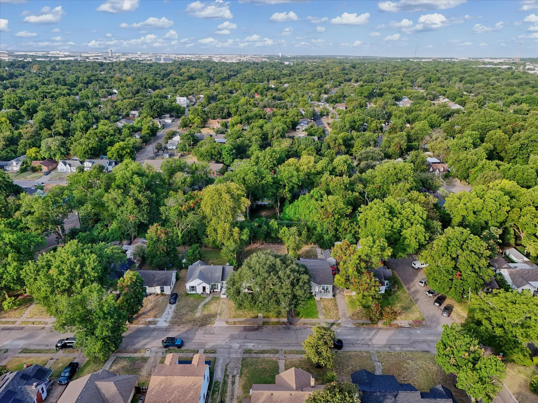 Expansive tree-lined neighborhood with a distant cityscape