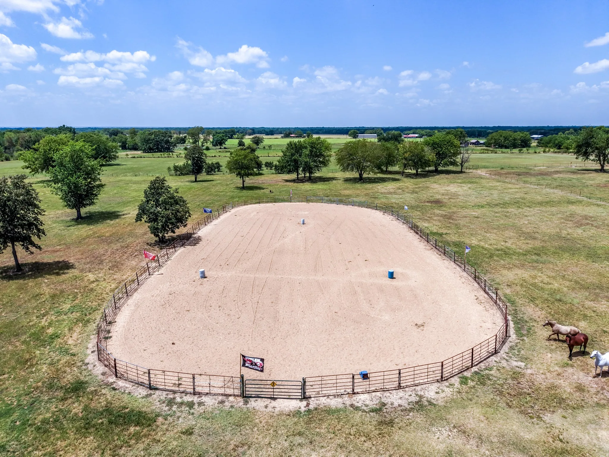 Fenced outdoor arena with a sandy surface, surrounded by expansive green pastures and scattered mature trees