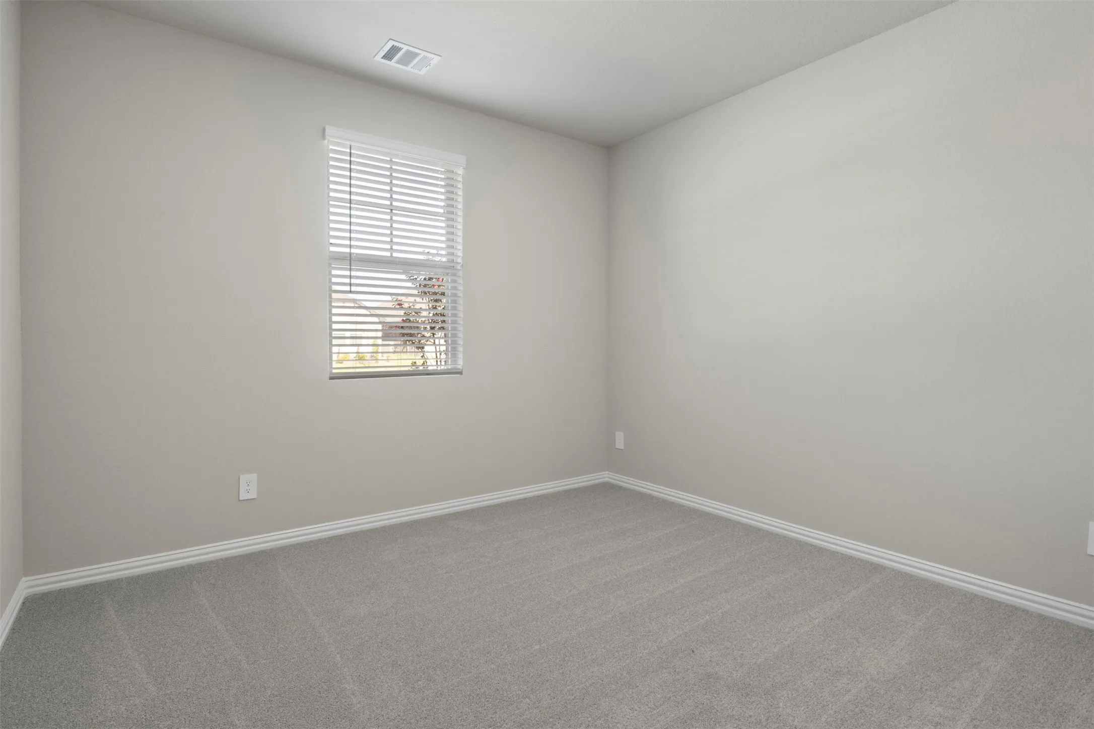 Light gray carpeting, neutral wall color, and a window with horizontal blinds