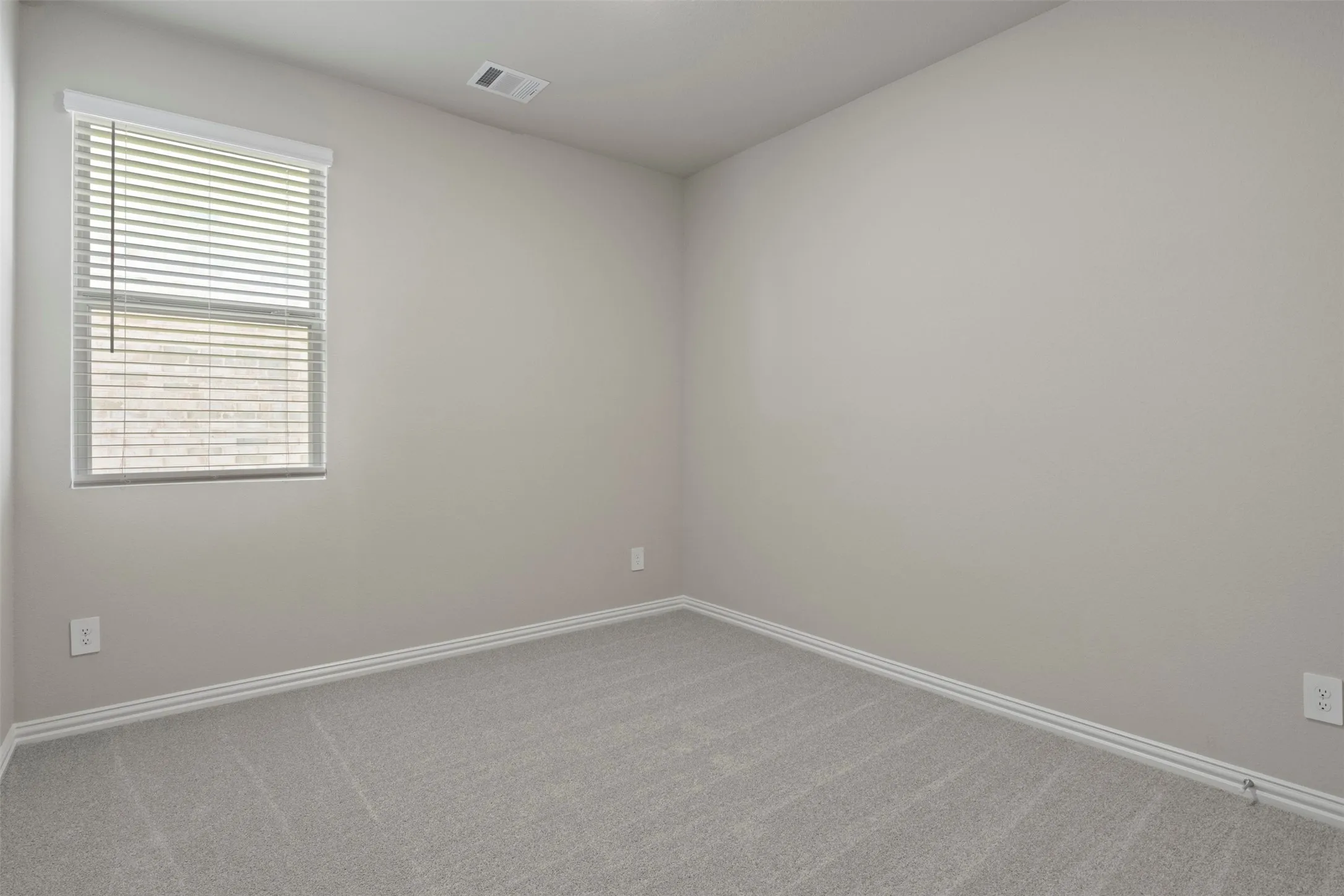 Plush carpeting, window with blinds, and neutral wall paint