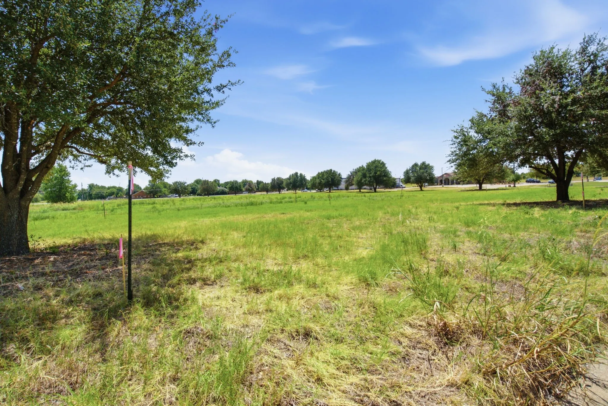 Unimproved Land For Sale in Erath County , 2664 Dogwood Drive, Stephenville, Texas 76401, 0, 0, Garage spaces, 0 Sqft, built in 0, mls#21365946, Real Estate Agent in Stephenville, Homes For Sale in Erath county, Homes For Sale in Stephenville, Realtor in Stephenville Texas, Real Estate Brokerage Independent Realty Texas, Luminita Cordes Realtor