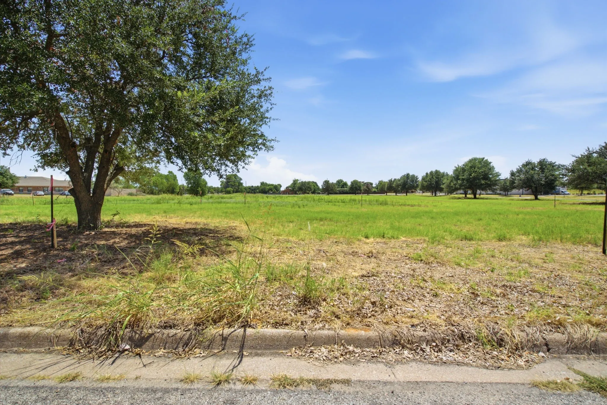 Unimproved Land For Sale in Erath County , 2670 Dogwood Drive, Stephenville, Texas 76401, 0, 0, Garage spaces, 0 Sqft, built in 0, mls#21365948, Real Estate Agent in Stephenville, Homes For Sale in Erath county, Homes For Sale in Stephenville, Realtor in Stephenville Texas, Real Estate Brokerage Independent Realty Texas, Luminita Cordes Realtor