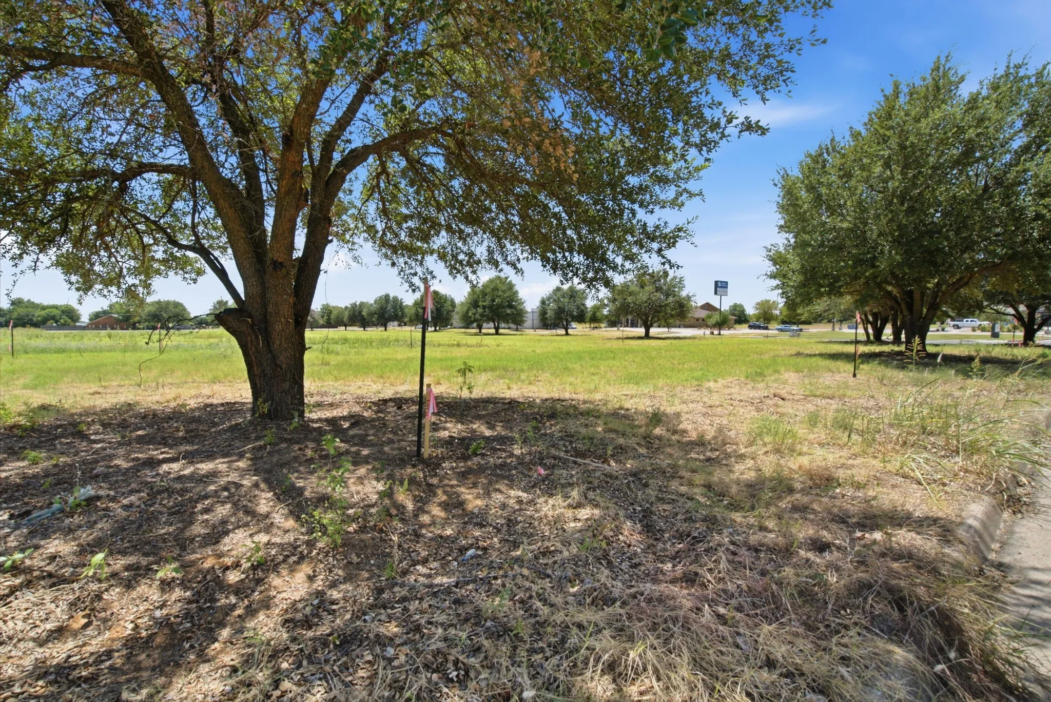Unimproved Land For Sale in Erath County , 2670 Dogwood Drive, Stephenville, Texas 76401, 0, 0, Garage spaces, 0 Sqft, built in 0, mls#21365948, Real Estate Agent in Stephenville, Homes For Sale in Erath county, Homes For Sale in Stephenville, Realtor in Stephenville Texas, Real Estate Brokerage Independent Realty Texas, Luminita Cordes Realtor