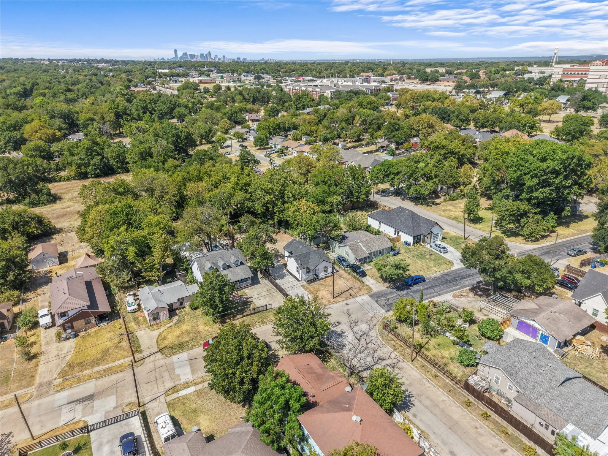 Aerial neighborhood perspective with mature trees and a distant city skyline
