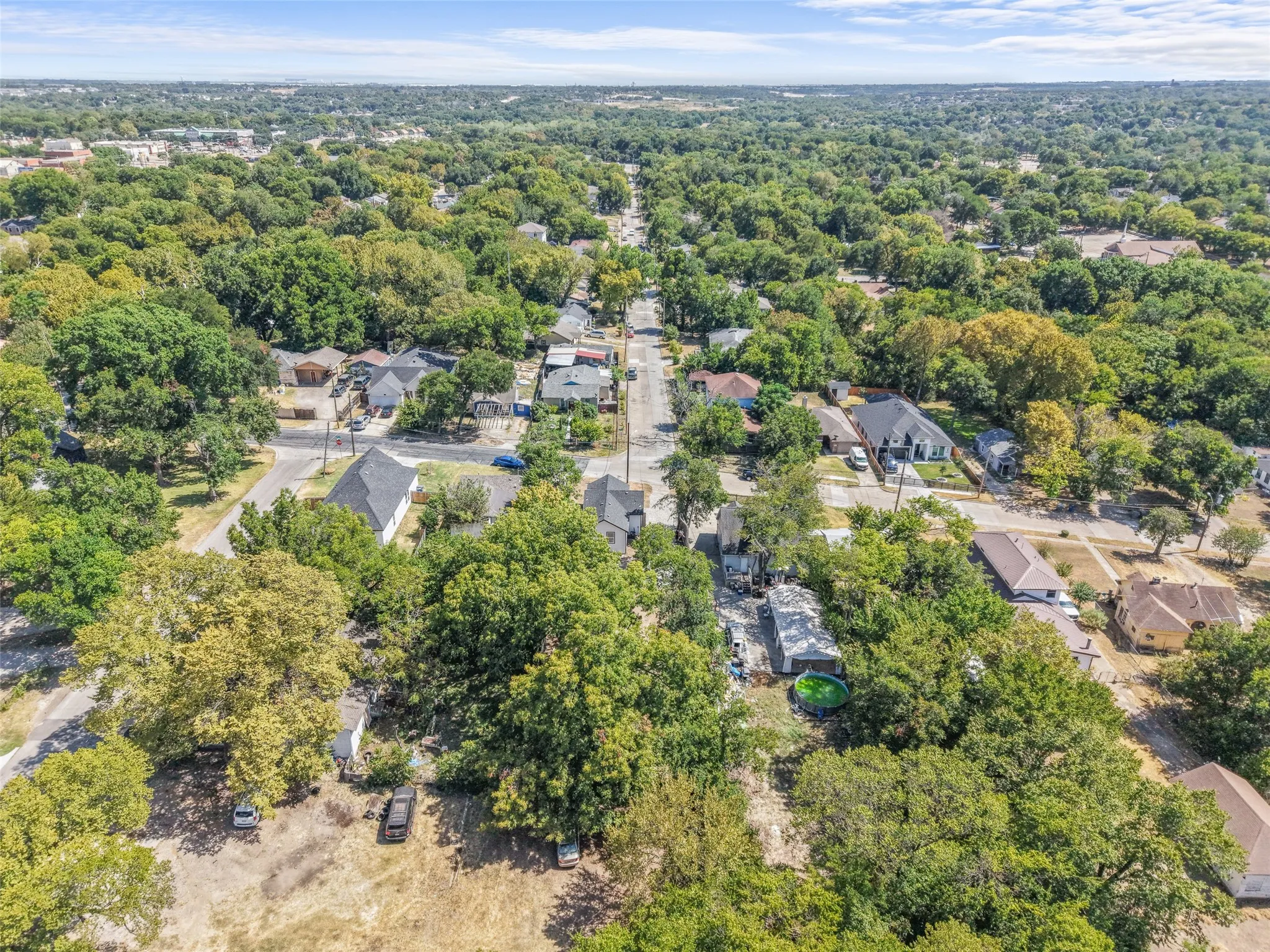 Expansive tree canopy with established residential properties