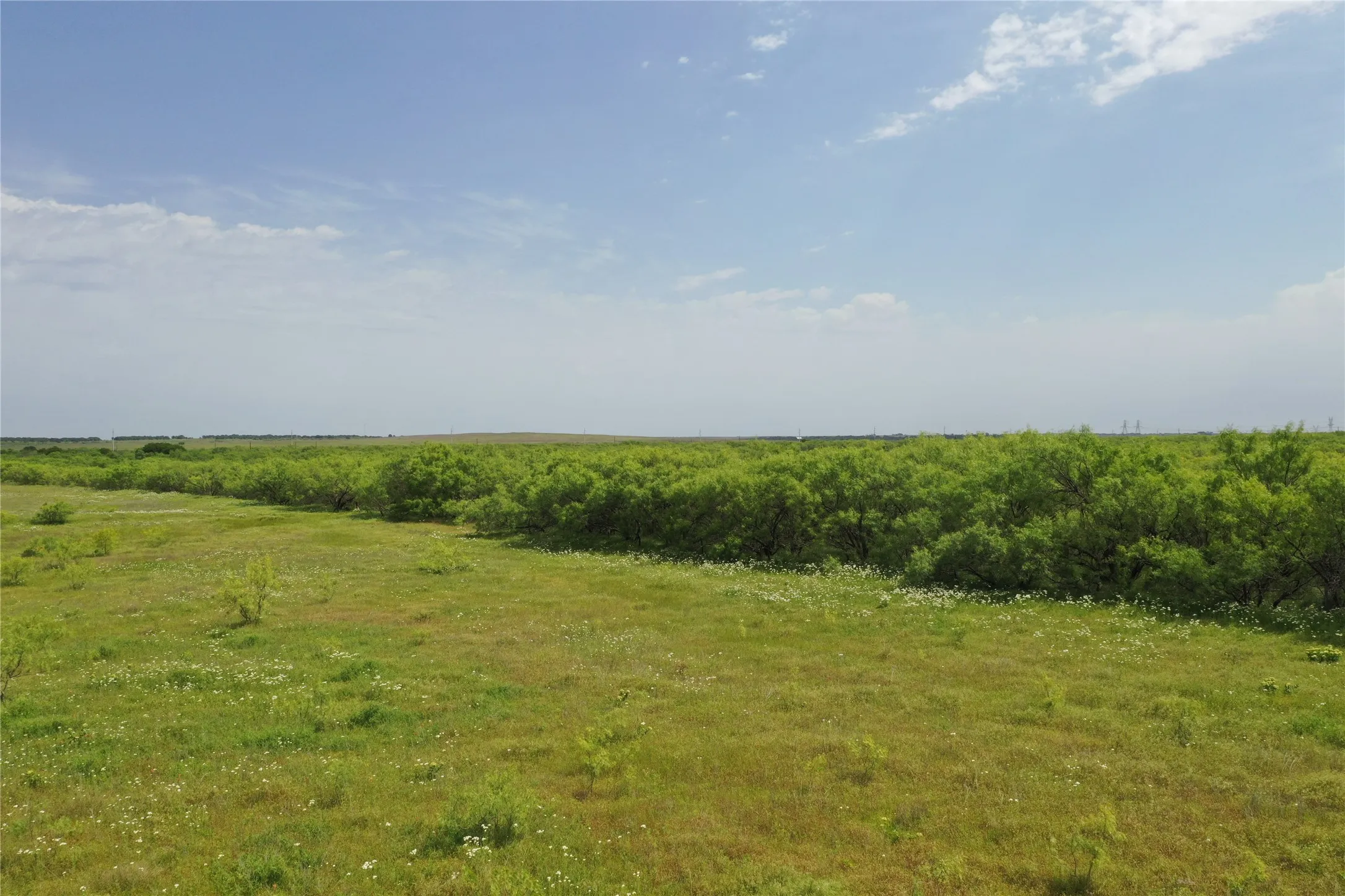 Unimproved Land For Sale in Clay County , TBD FM 2321-TRACT 1, Bellevue, Texas 76228, 0, 0, Garage spaces, 0 Sqft, built in 0, Price $214,000, mls#21365965, Real Estate Agent in Bellevue, Homes For Sale in Clay county, Homes For Sale in Bellevue, Realtor in Bellevue Texas, Real Estate Brokerage Independent Realty Texas, Luminita Cordes Realtor