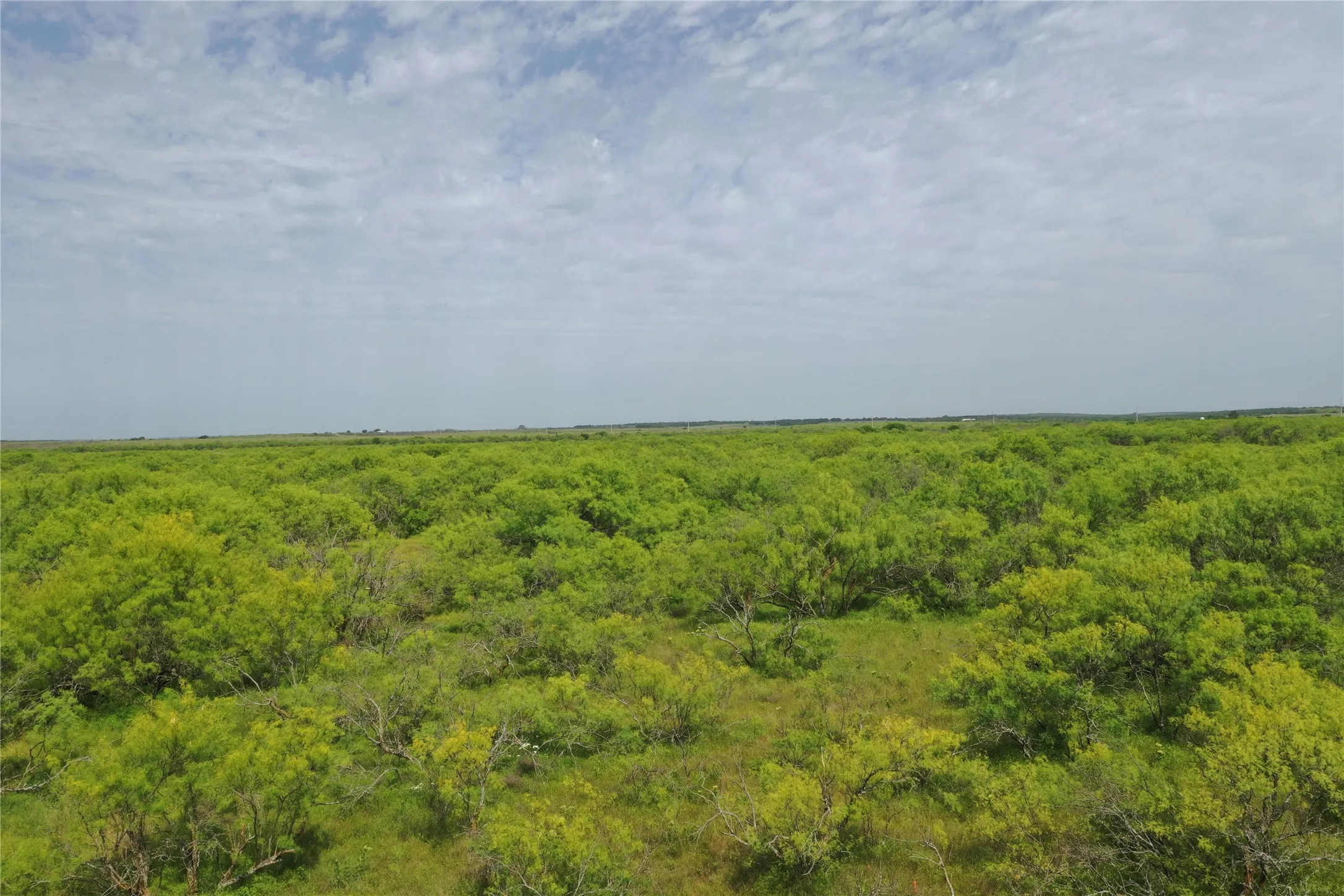 Unimproved Land For Sale in Clay County , TBD FM 2321-TRACT 1, Bellevue, Texas 76228, 0, 0, Garage spaces, 0 Sqft, built in 0, Price $214,000, mls#21365965, Real Estate Agent in Bellevue, Homes For Sale in Clay county, Homes For Sale in Bellevue, Realtor in Bellevue Texas, Real Estate Brokerage Independent Realty Texas, Luminita Cordes Realtor