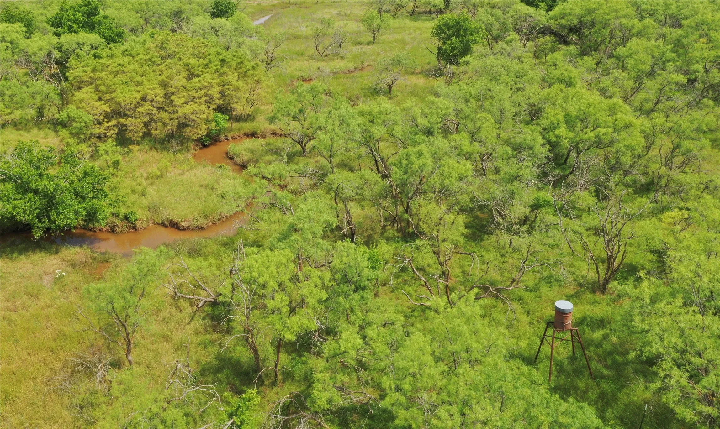 Unimproved Land For Sale in Clay County , TBD FM 2321-TRACT 1, Bellevue, Texas 76228, 0, 0, Garage spaces, 0 Sqft, built in 0, Price $214,000, mls#21365965, Real Estate Agent in Bellevue, Homes For Sale in Clay county, Homes For Sale in Bellevue, Realtor in Bellevue Texas, Real Estate Brokerage Independent Realty Texas, Luminita Cordes Realtor