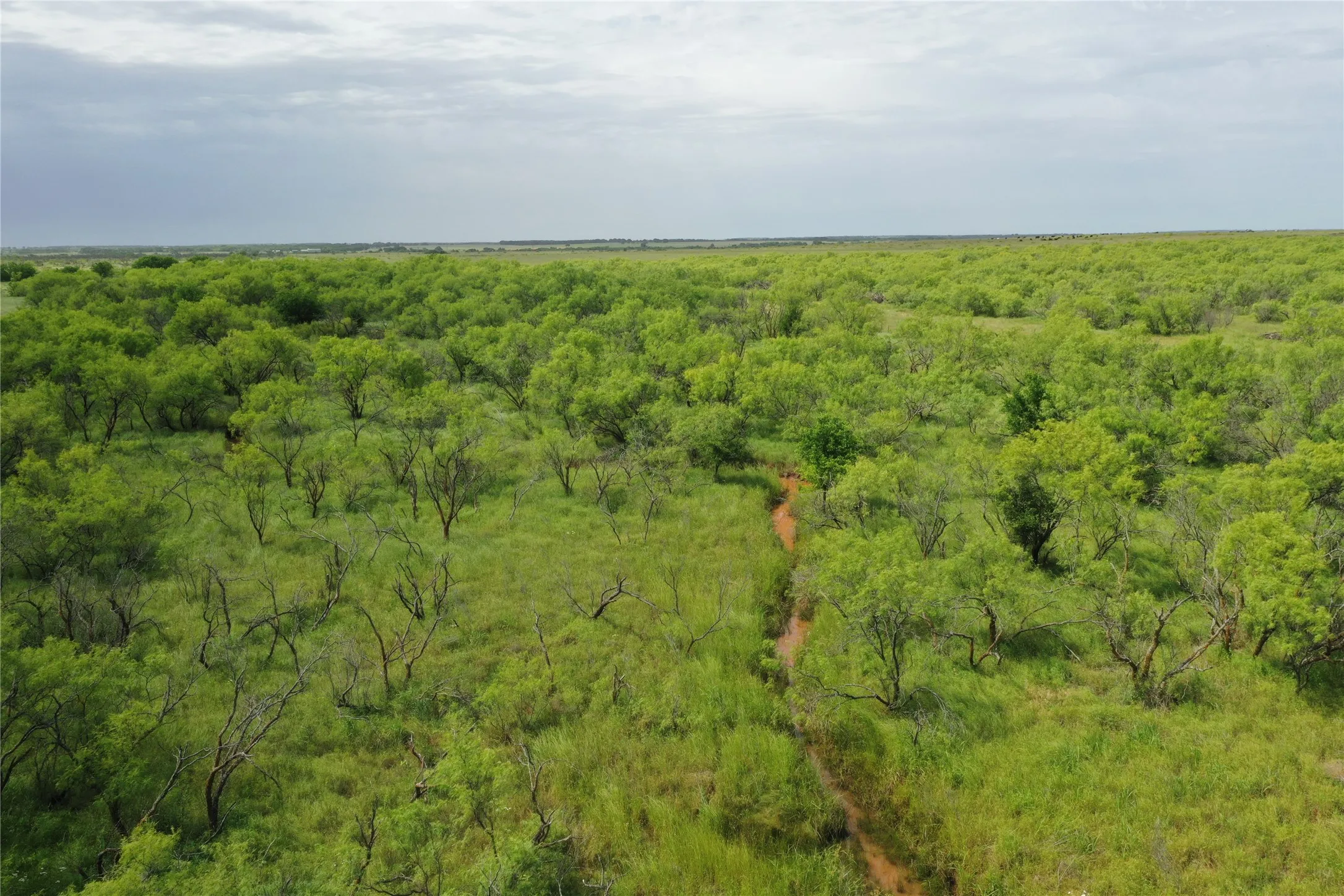 Unimproved Land For Sale in Clay County , TBD FM 2321-TRACT 1, Bellevue, Texas 76228, 0, 0, Garage spaces, 0 Sqft, built in 0, Price $214,000, mls#21365965, Real Estate Agent in Bellevue, Homes For Sale in Clay county, Homes For Sale in Bellevue, Realtor in Bellevue Texas, Real Estate Brokerage Independent Realty Texas, Luminita Cordes Realtor