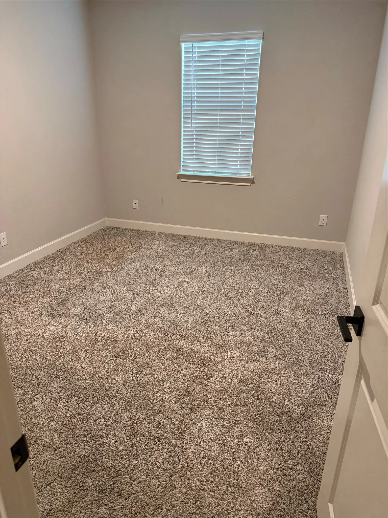 Wall-to-wall carpeting and neutral wall tones