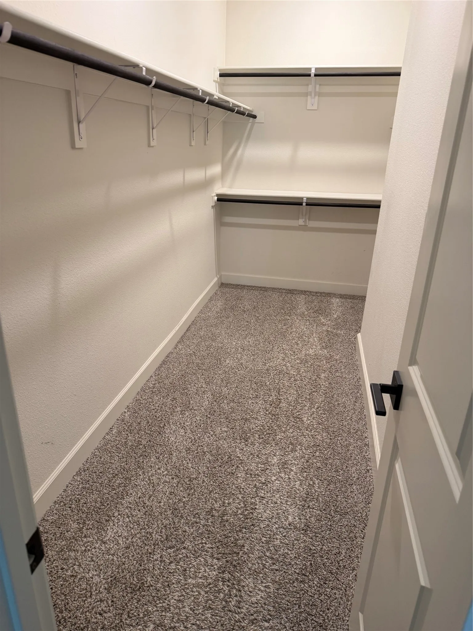 Walk-in closet with carpet flooring, multiple shelving units, and clothing rods