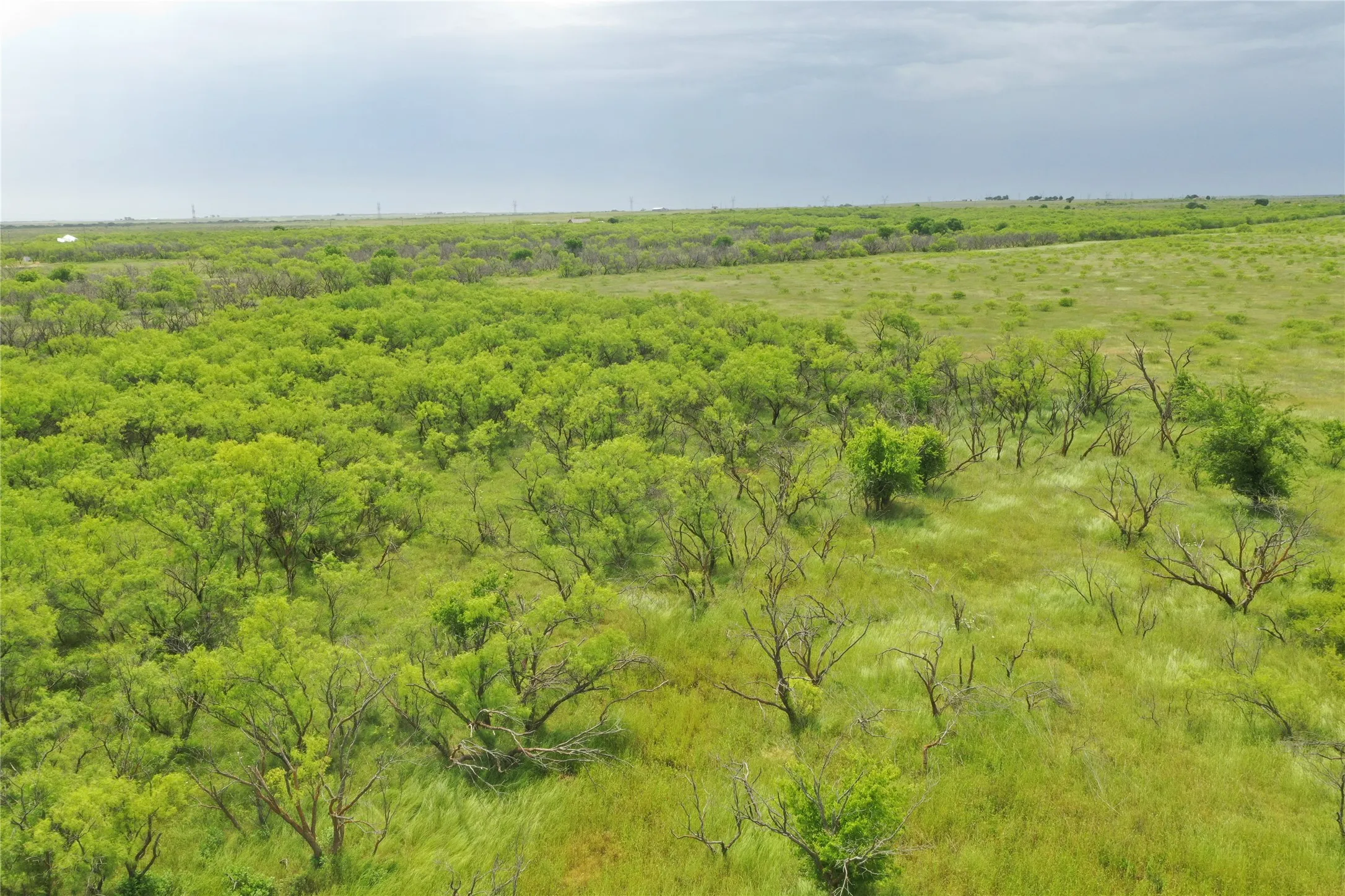 Unimproved Land For Sale in Clay County , TBD FM 2321 TRACT 2, Bellevue, Texas 76228, 0, 0, Garage spaces, 0 Sqft, built in 0, Price $214,000, mls#21365968, Real Estate Agent in Bellevue, Homes For Sale in Clay county, Homes For Sale in Bellevue, Realtor in Bellevue Texas, Real Estate Brokerage Independent Realty Texas, Luminita Cordes Realtor