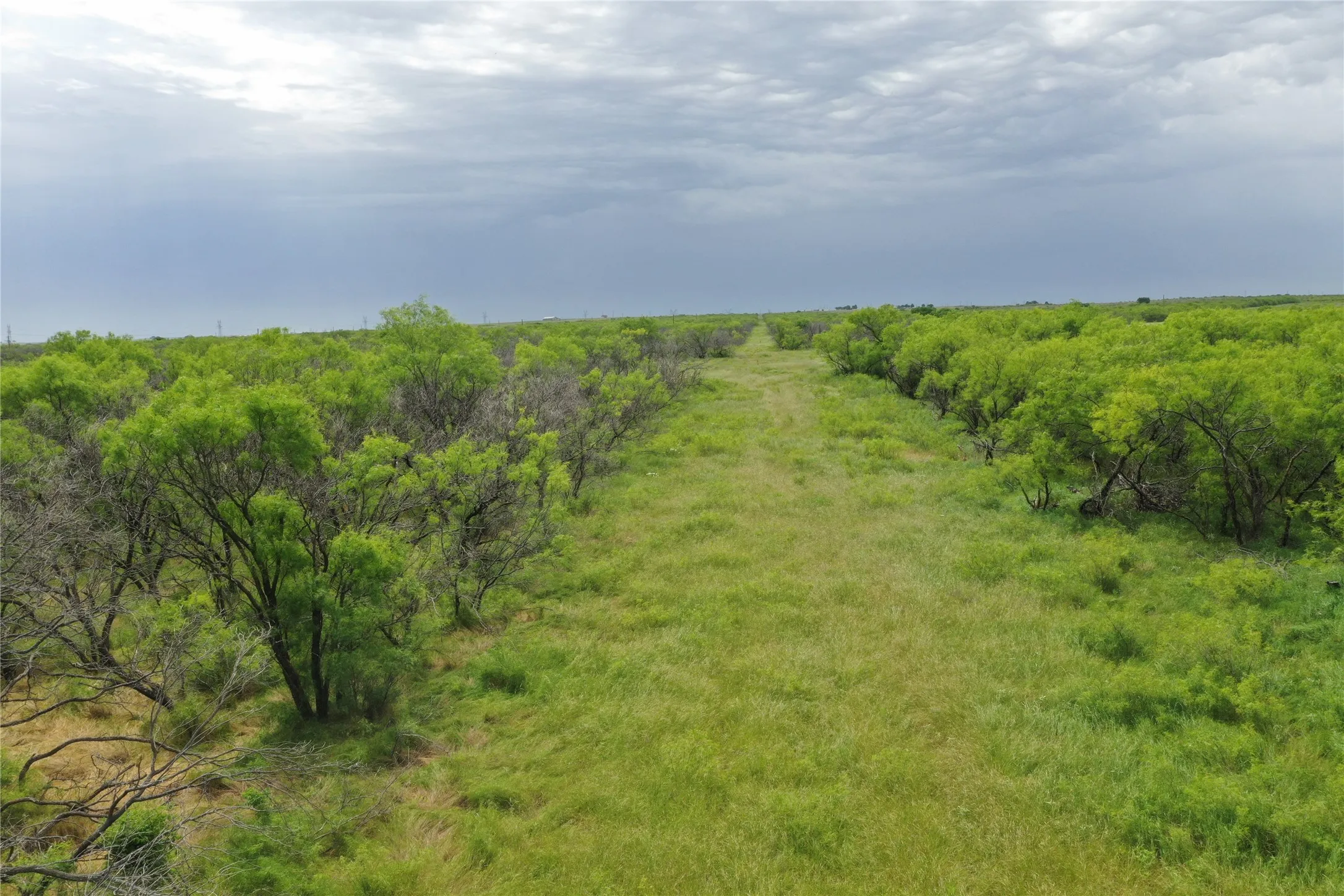 Unimproved Land For Sale in Clay County , TBD FM 2321 TRACT 2, Bellevue, Texas 76228, 0, 0, Garage spaces, 0 Sqft, built in 0, Price $214,000, mls#21365968, Real Estate Agent in Bellevue, Homes For Sale in Clay county, Homes For Sale in Bellevue, Realtor in Bellevue Texas, Real Estate Brokerage Independent Realty Texas, Luminita Cordes Realtor