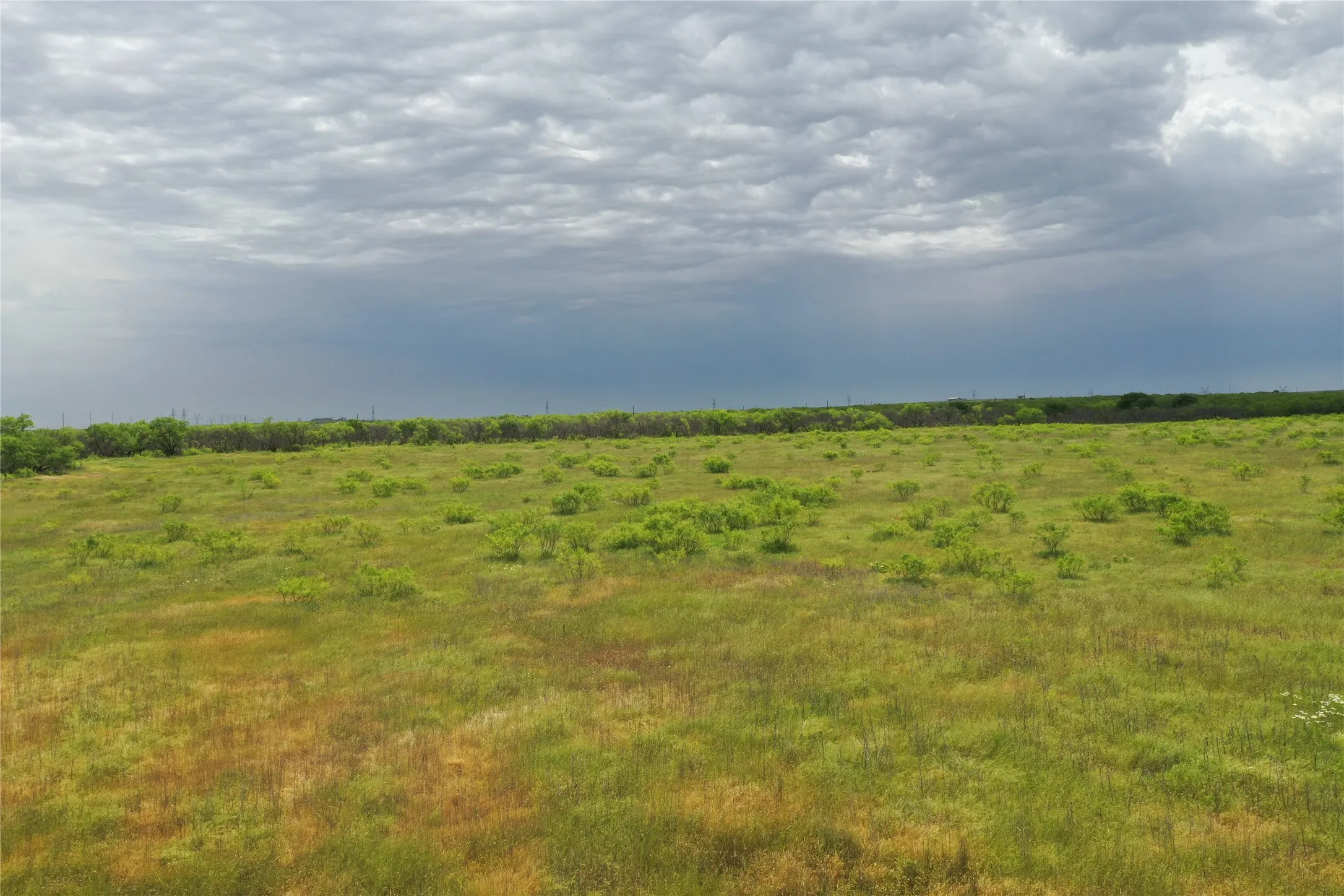 Unimproved Land For Sale in Clay County , TBD FM 2321 TRACT 2, Bellevue, Texas 76228, 0, 0, Garage spaces, 0 Sqft, built in 0, Price $214,000, mls#21365968, Real Estate Agent in Bellevue, Homes For Sale in Clay county, Homes For Sale in Bellevue, Realtor in Bellevue Texas, Real Estate Brokerage Independent Realty Texas, Luminita Cordes Realtor