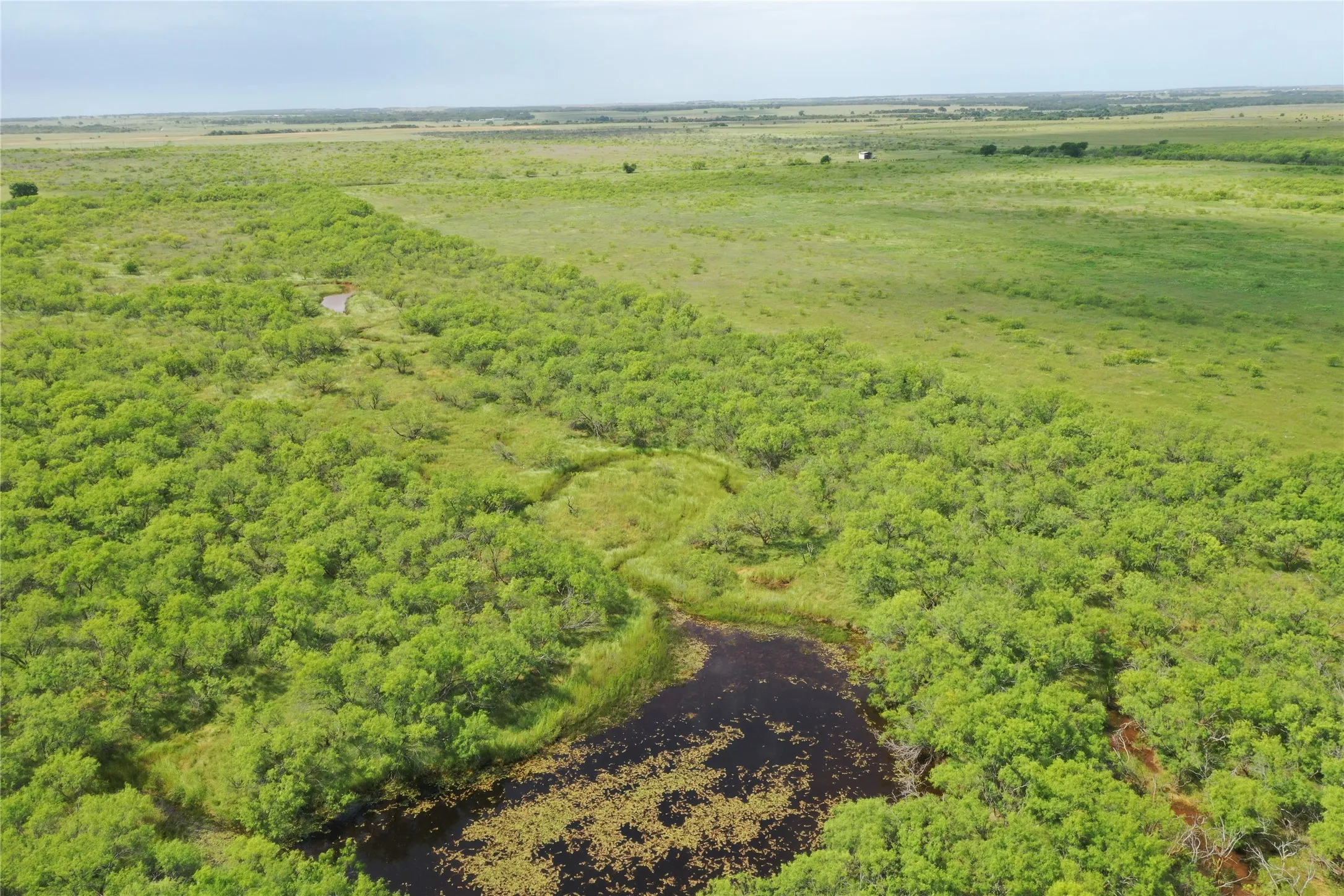 Unimproved Land For Sale in Clay County , TBD Davis Ln-TRACT 8, Bellevue, Texas 76228, 0, 0, Garage spaces, 0 Sqft, built in 0, Price $279,000, mls#21366003, Real Estate Agent in Bellevue, Homes For Sale in Clay county, Homes For Sale in Bellevue, Realtor in Bellevue Texas, Real Estate Brokerage Independent Realty Texas, Luminita Cordes Realtor
