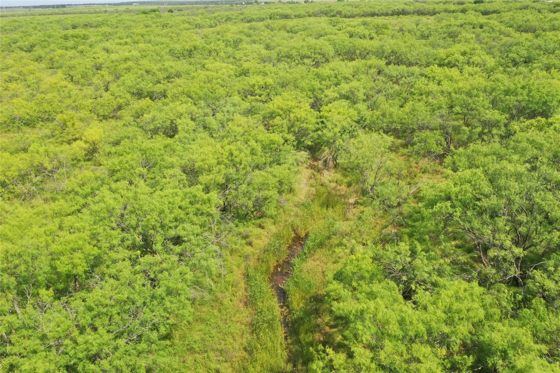 Unimproved Land For Sale in Clay County , TBD Davis Ln-TRACT 8, Bellevue, Texas 76228, 0, 0, Garage spaces, 0 Sqft, built in 0, Price $279,000, mls#21366003, Real Estate Agent in Bellevue, Homes For Sale in Clay county, Homes For Sale in Bellevue, Realtor in Bellevue Texas, Real Estate Brokerage Independent Realty Texas, Luminita Cordes Realtor