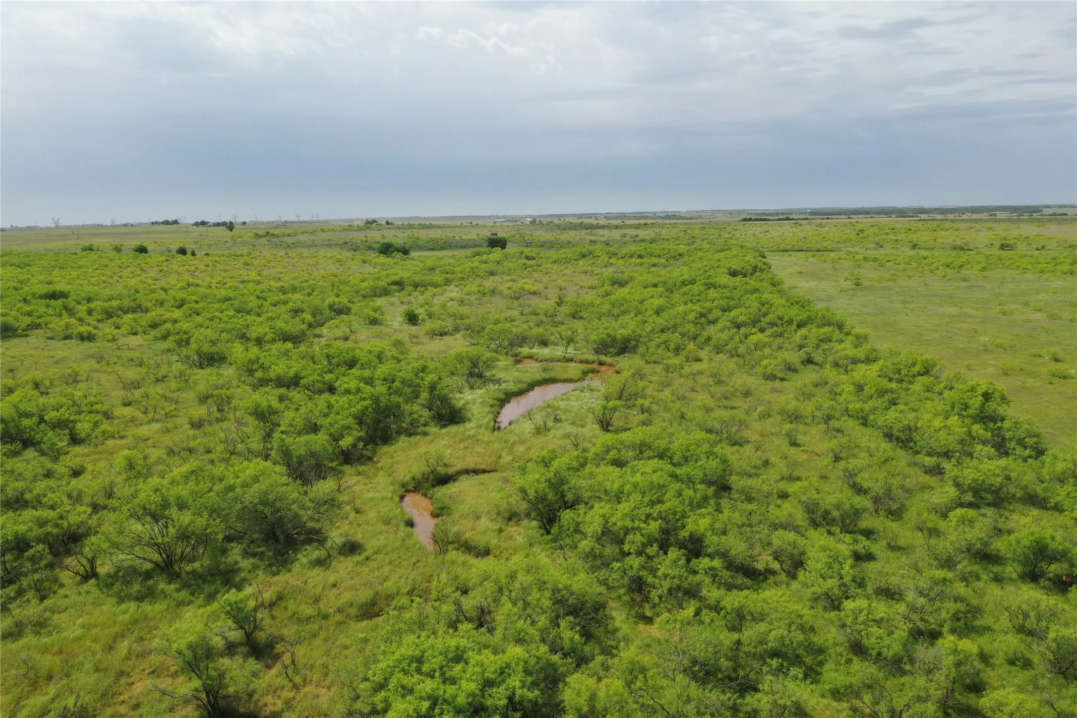 Unimproved Land For Sale in Clay County , TBD Davis Ln-TRACT 8, Bellevue, Texas 76228, 0, 0, Garage spaces, 0 Sqft, built in 0, Price $279,000, mls#21366003, Real Estate Agent in Bellevue, Homes For Sale in Clay county, Homes For Sale in Bellevue, Realtor in Bellevue Texas, Real Estate Brokerage Independent Realty Texas, Luminita Cordes Realtor