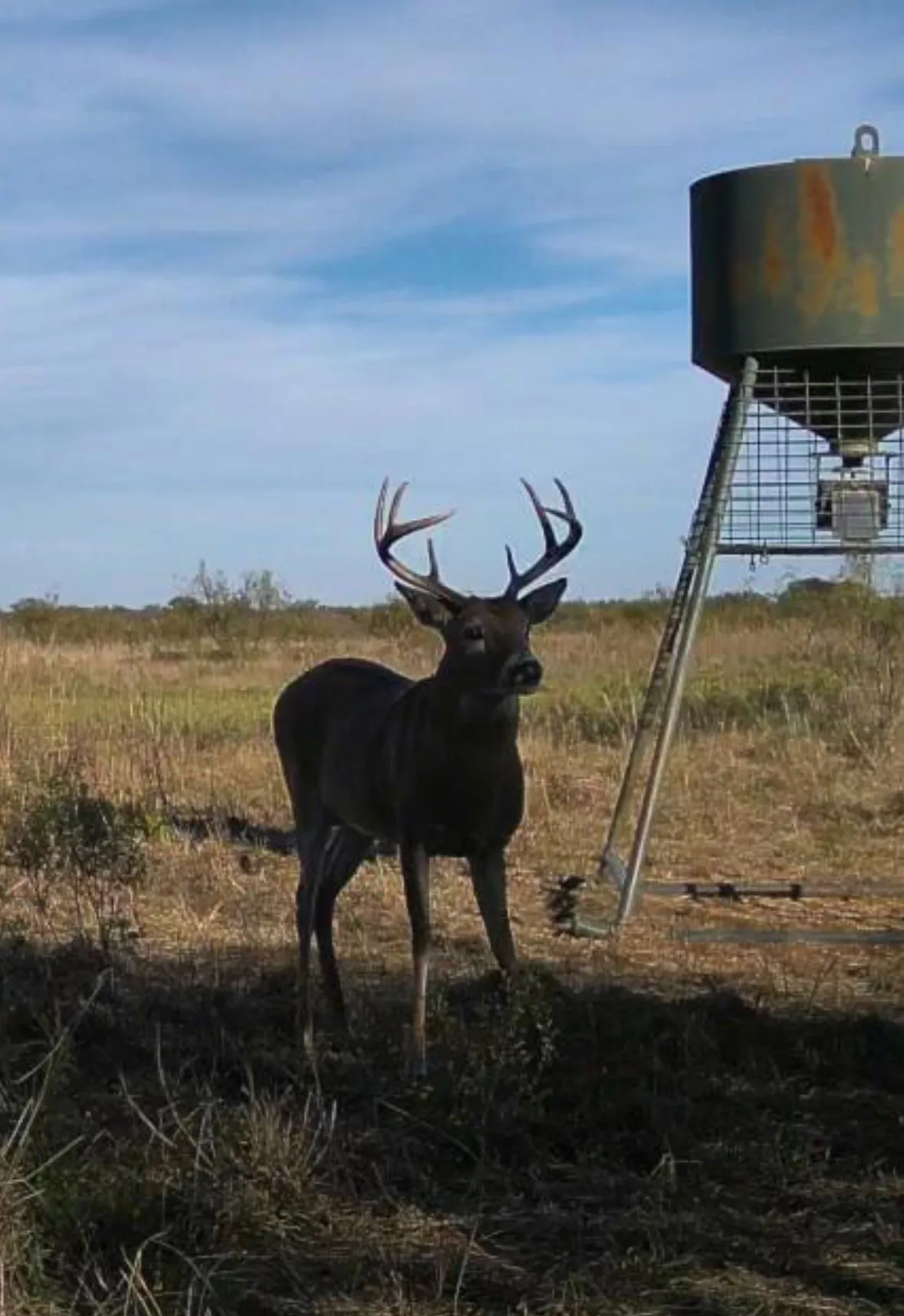 Unimproved Land For Sale in Clay County , TBD Davis Ln-TRACT 9, Bellevue, Texas 76228, 0, 0, Garage spaces, 0 Sqft, built in 0, Price $279,000, mls#21366009, Real Estate Agent in Bellevue, Homes For Sale in Clay county, Homes For Sale in Bellevue, Realtor in Bellevue Texas, Real Estate Brokerage Independent Realty Texas, Luminita Cordes Realtor
