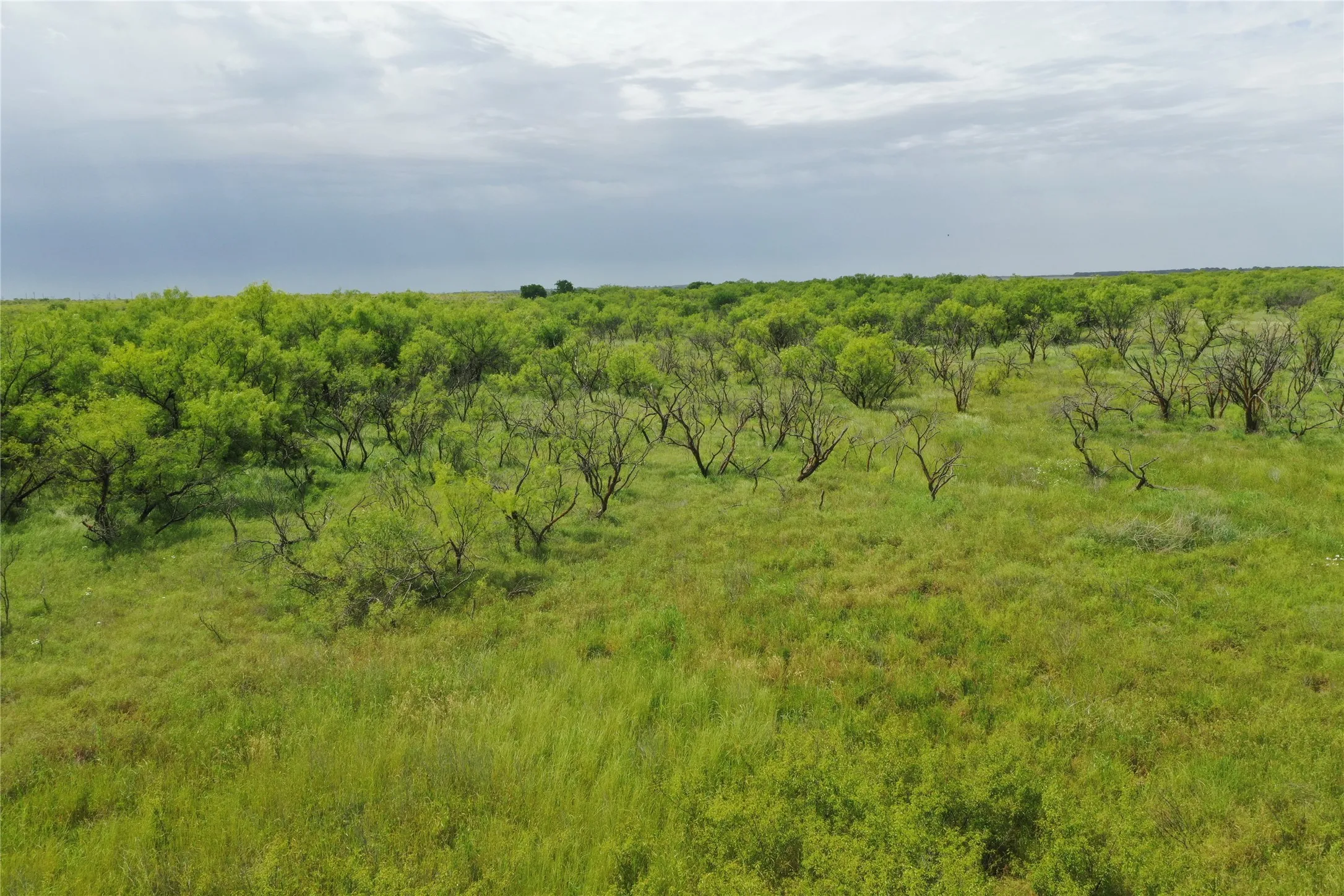 Unimproved Land For Sale in Clay County , TBD Davis Ln-TRACT 9, Bellevue, Texas 76228, 0, 0, Garage spaces, 0 Sqft, built in 0, Price $279,000, mls#21366009, Real Estate Agent in Bellevue, Homes For Sale in Clay county, Homes For Sale in Bellevue, Realtor in Bellevue Texas, Real Estate Brokerage Independent Realty Texas, Luminita Cordes Realtor