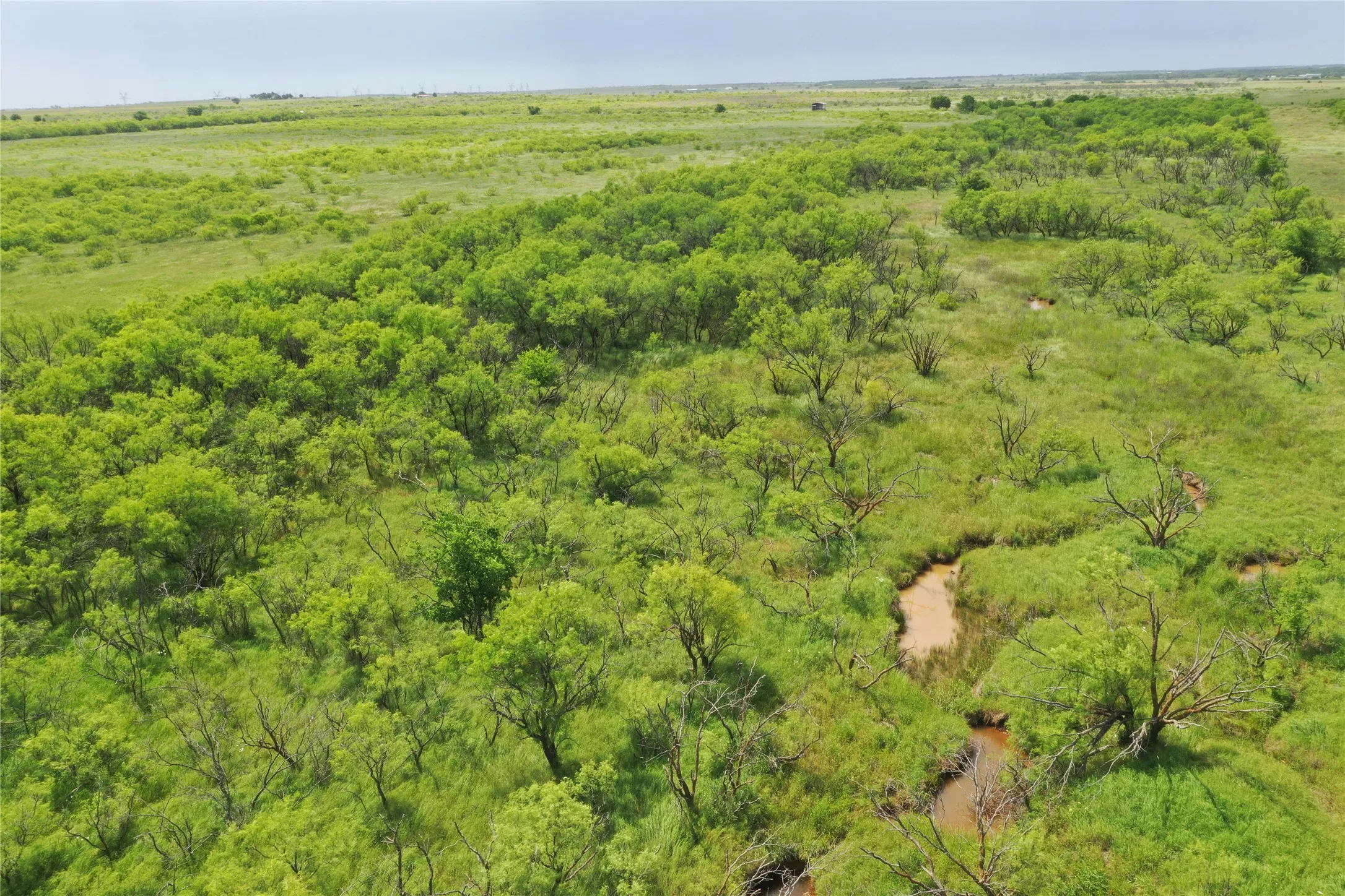 Unimproved Land For Sale in Clay County , TBD Davis Ln-TRACT 9, Bellevue, Texas 76228, 0, 0, Garage spaces, 0 Sqft, built in 0, Price $279,000, mls#21366009, Real Estate Agent in Bellevue, Homes For Sale in Clay county, Homes For Sale in Bellevue, Realtor in Bellevue Texas, Real Estate Brokerage Independent Realty Texas, Luminita Cordes Realtor