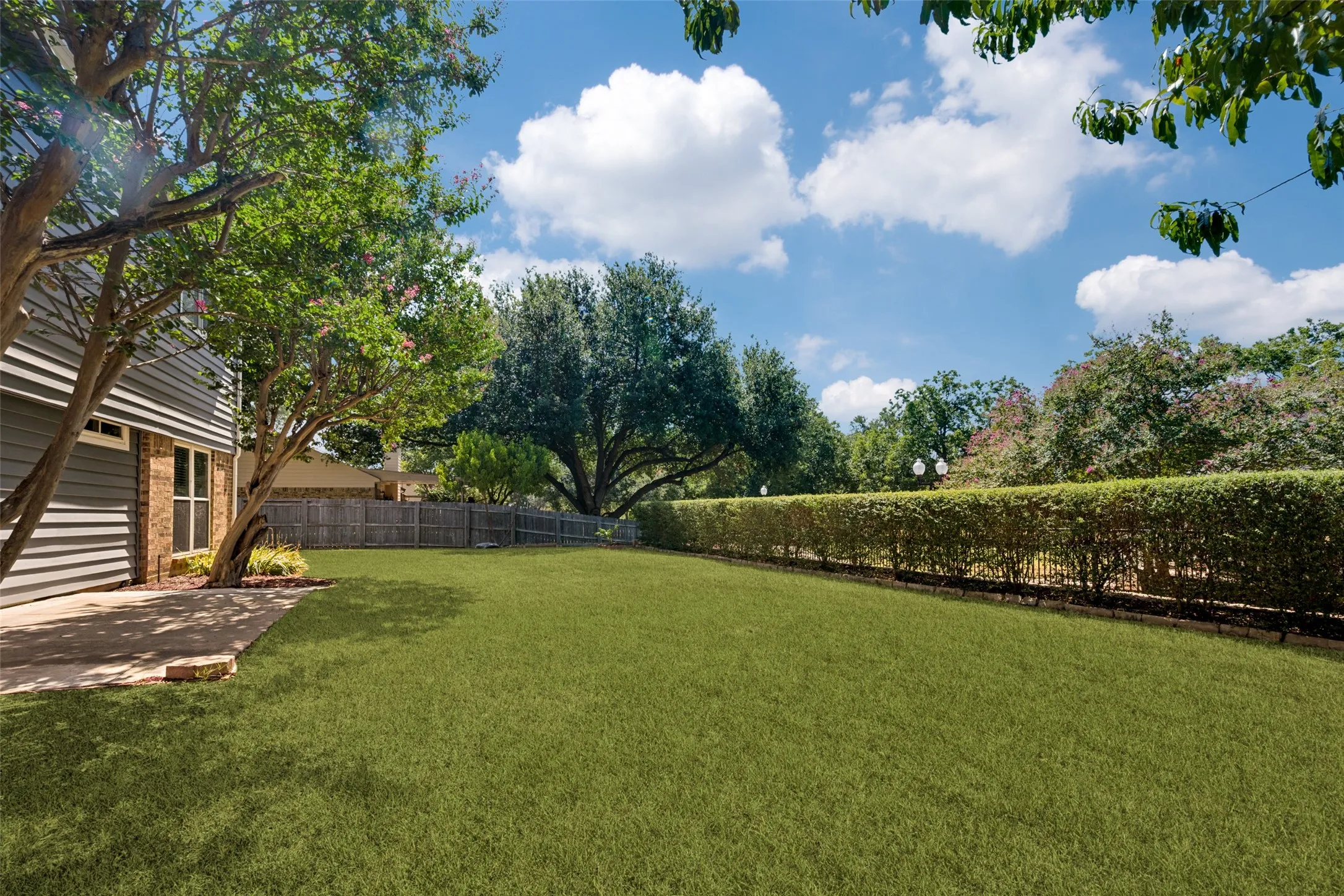 Expansive backyard with a manicured lawn, established privacy hedge, and a concrete patio