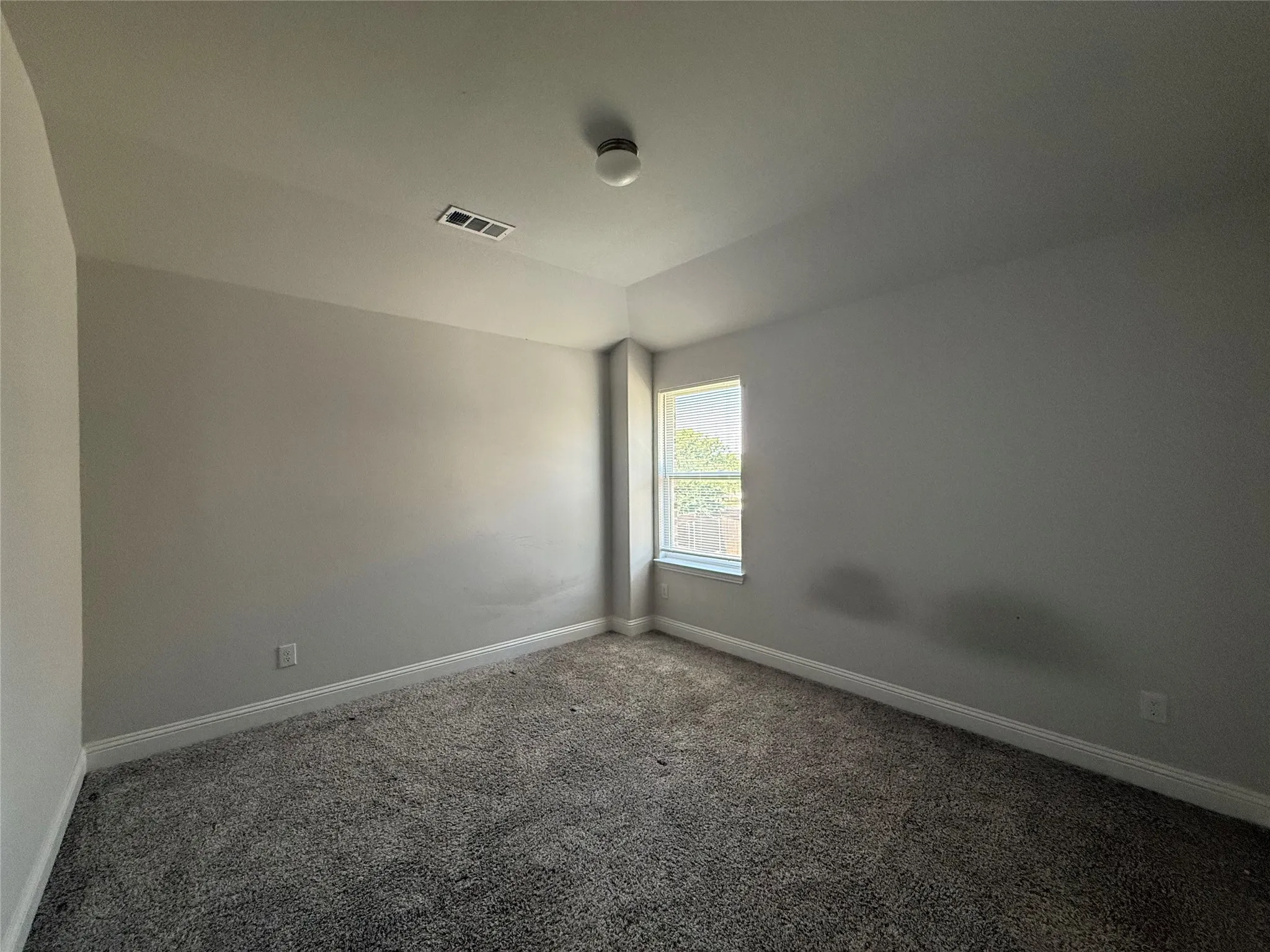 Carpeted flooring, single window, white trim, light-colored walls, ceiling-mounted light fixture