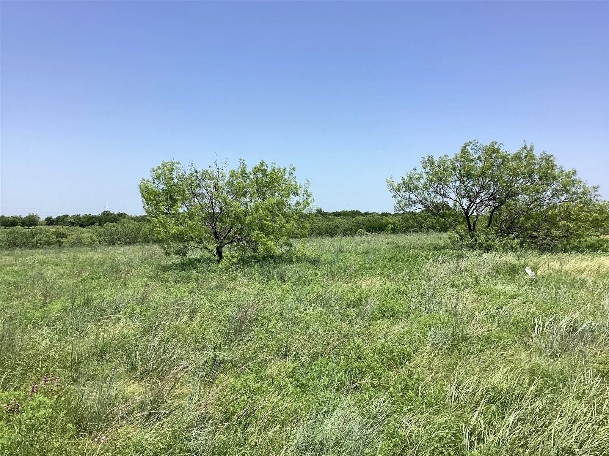 Unimproved Land For Sale in Parker County , 917 SanJacinto Drive, Aledo, Texas 76008, 0, 0, Garage spaces, 0 Sqft, built in 0, Price $467,500, mls#21366045, Real Estate Agent in Aledo, Homes For Sale in Parker county, Homes For Sale in Aledo, Realtor in Aledo Texas, Real Estate Brokerage Independent Realty Texas, Luminita Cordes Realtor