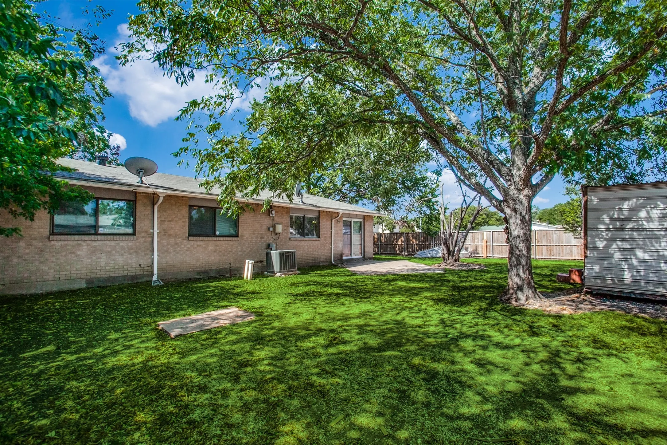 Expansive backyard featuring a large tree, a paved patio, and a storage shed