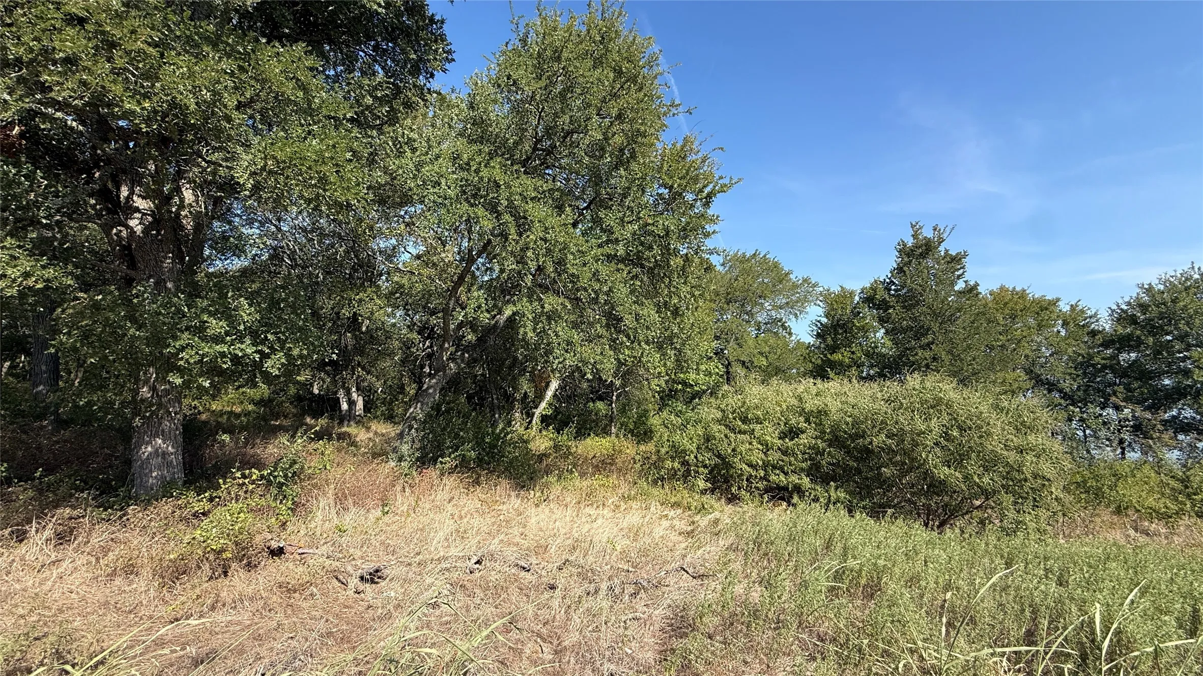 Unimproved Land For Sale in Navarro County , Lot 81 Richland Park Drive, Corsicana, Texas 75109, 0, 0, Garage spaces, 0 Sqft, built in 0, mls#21364219, Real Estate Agent in Corsicana, Homes For Sale in Navarro county, Homes For Sale in Corsicana, Realtor in Corsicana Texas, Real Estate Brokerage Independent Realty Texas, Luminita Cordes Realtor