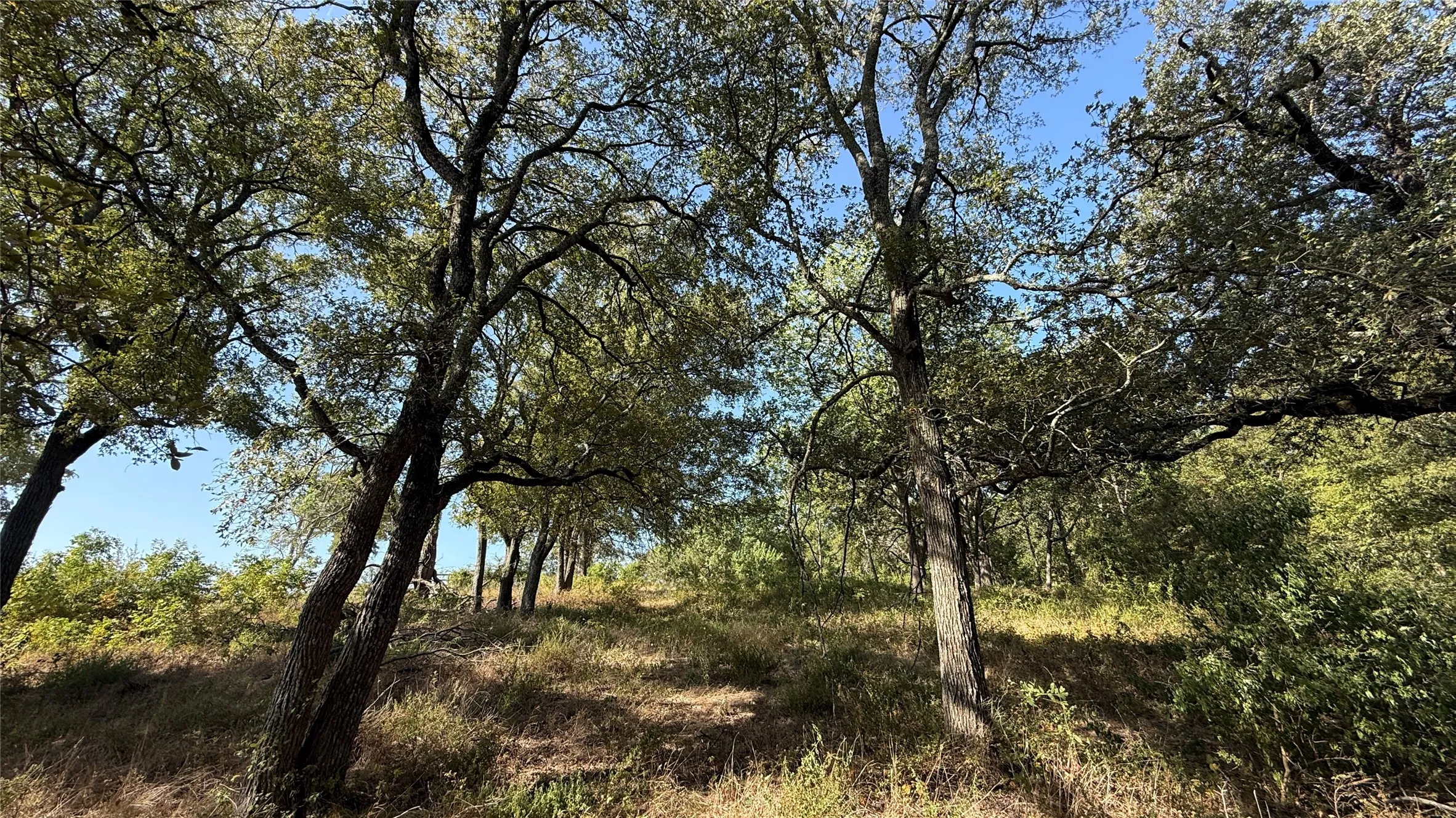 Unimproved Land For Sale in Navarro County , Lot 81 Richland Park Drive, Corsicana, Texas 75109, 0, 0, Garage spaces, 0 Sqft, built in 0, mls#21364219, Real Estate Agent in Corsicana, Homes For Sale in Navarro county, Homes For Sale in Corsicana, Realtor in Corsicana Texas, Real Estate Brokerage Independent Realty Texas, Luminita Cordes Realtor