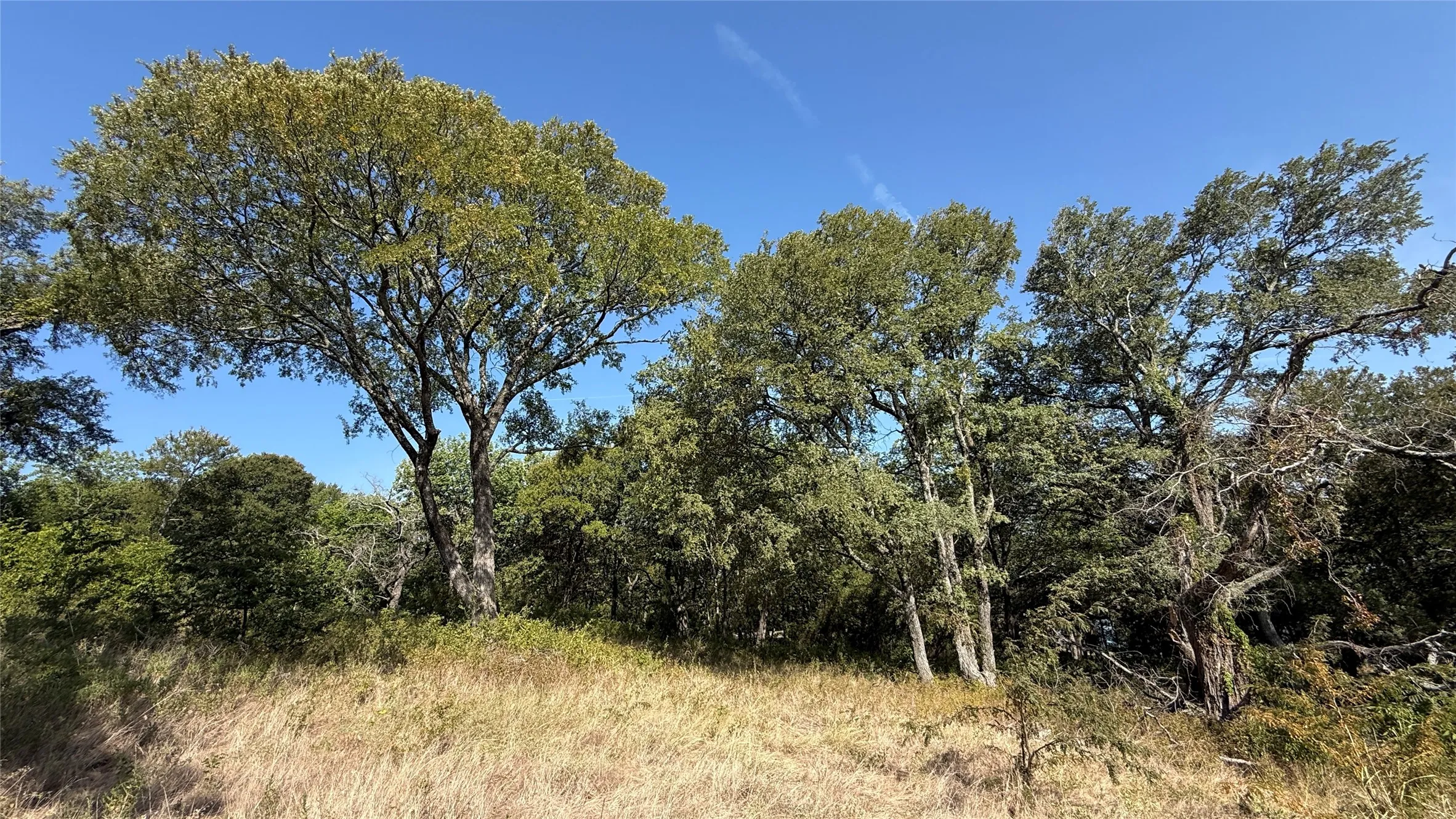 Unimproved Land For Sale in Navarro County , Lot 81 Richland Park Drive, Corsicana, Texas 75109, 0, 0, Garage spaces, 0 Sqft, built in 0, mls#21364219, Real Estate Agent in Corsicana, Homes For Sale in Navarro county, Homes For Sale in Corsicana, Realtor in Corsicana Texas, Real Estate Brokerage Independent Realty Texas, Luminita Cordes Realtor