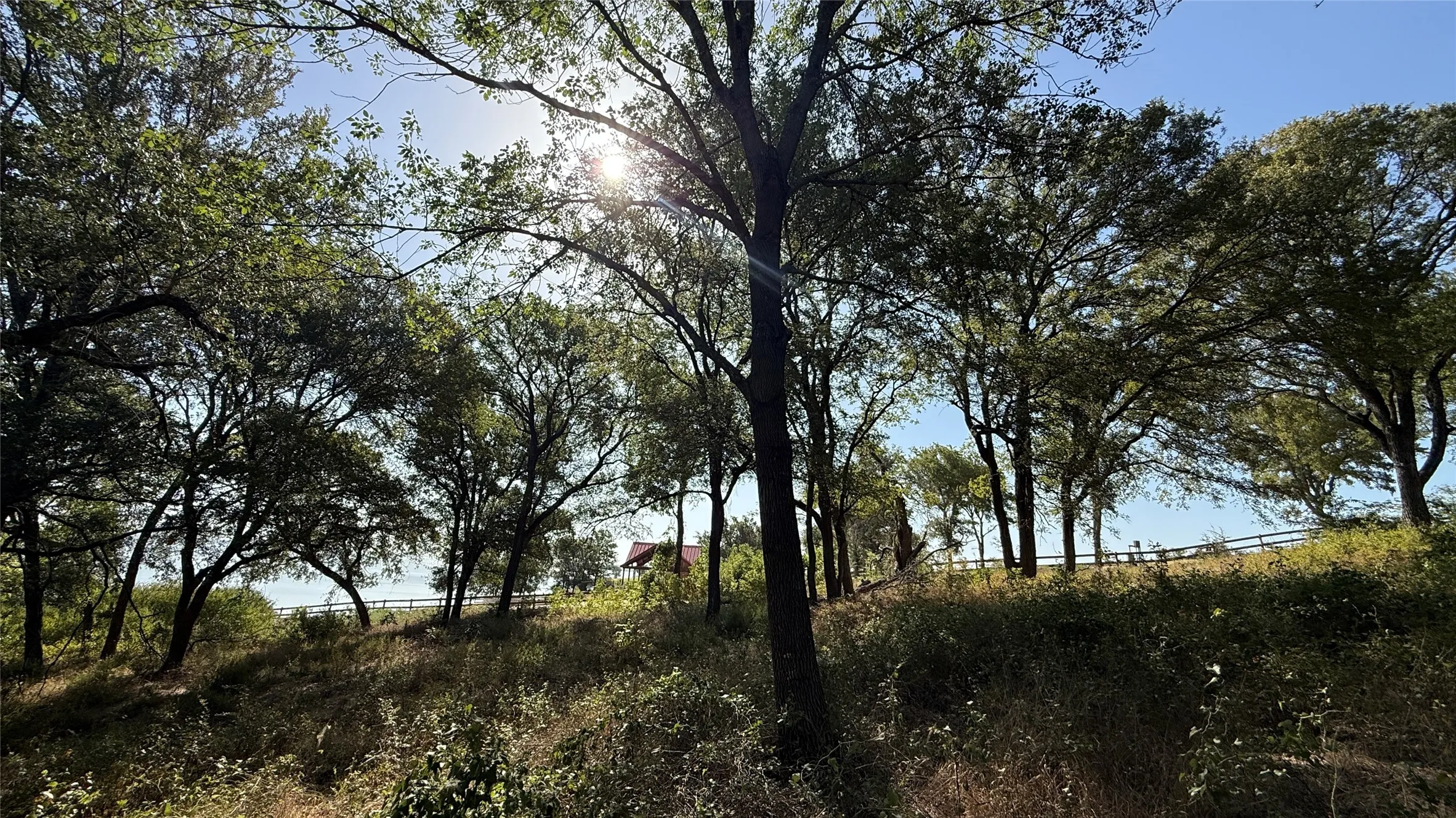 Unimproved Land For Sale in Navarro County , Lot 81 Richland Park Drive, Corsicana, Texas 75109, 0, 0, Garage spaces, 0 Sqft, built in 0, mls#21364219, Real Estate Agent in Corsicana, Homes For Sale in Navarro county, Homes For Sale in Corsicana, Realtor in Corsicana Texas, Real Estate Brokerage Independent Realty Texas, Luminita Cordes Realtor