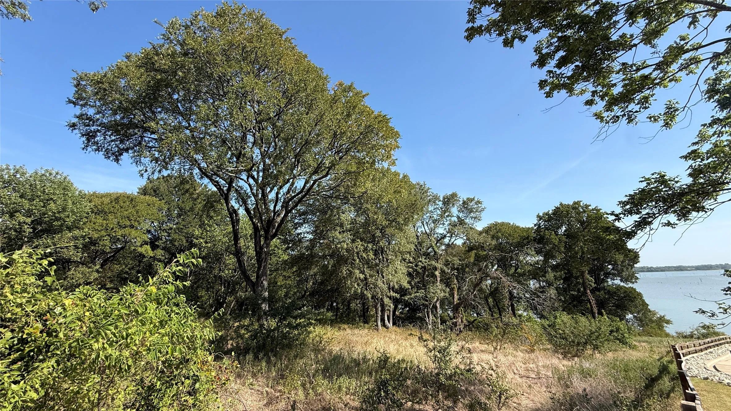 Unimproved Land For Sale in Navarro County , Lot 81 Richland Park Drive, Corsicana, Texas 75109, 0, 0, Garage spaces, 0 Sqft, built in 0, mls#21364219, Real Estate Agent in Corsicana, Homes For Sale in Navarro county, Homes For Sale in Corsicana, Realtor in Corsicana Texas, Real Estate Brokerage Independent Realty Texas, Luminita Cordes Realtor