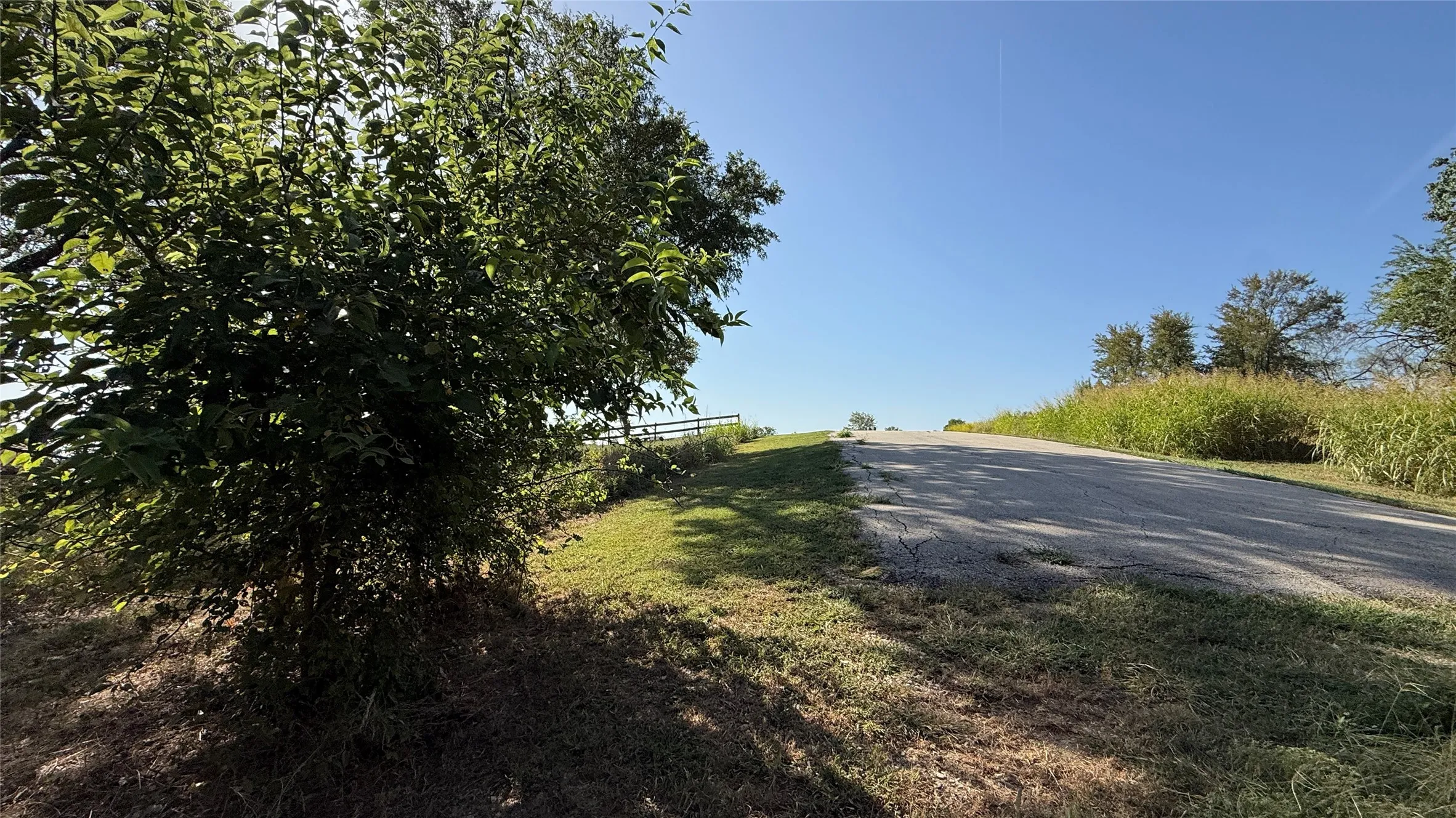 Unimproved Land For Sale in Navarro County , Lot 81 Richland Park Drive, Corsicana, Texas 75109, 0, 0, Garage spaces, 0 Sqft, built in 0, mls#21364219, Real Estate Agent in Corsicana, Homes For Sale in Navarro county, Homes For Sale in Corsicana, Realtor in Corsicana Texas, Real Estate Brokerage Independent Realty Texas, Luminita Cordes Realtor