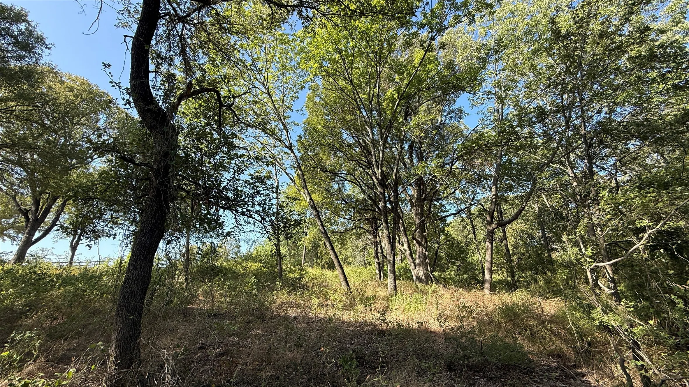 Unimproved Land For Sale in Navarro County , Lot 81 Richland Park Drive, Corsicana, Texas 75109, 0, 0, Garage spaces, 0 Sqft, built in 0, mls#21364219, Real Estate Agent in Corsicana, Homes For Sale in Navarro county, Homes For Sale in Corsicana, Realtor in Corsicana Texas, Real Estate Brokerage Independent Realty Texas, Luminita Cordes Realtor