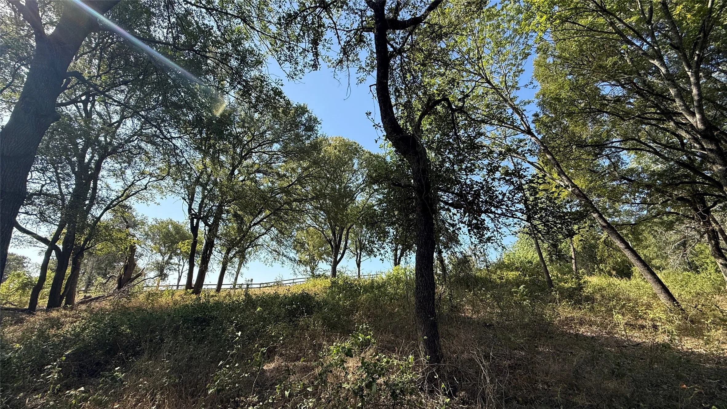 Unimproved Land For Sale in Navarro County , Lot 81 Richland Park Drive, Corsicana, Texas 75109, 0, 0, Garage spaces, 0 Sqft, built in 0, mls#21364219, Real Estate Agent in Corsicana, Homes For Sale in Navarro county, Homes For Sale in Corsicana, Realtor in Corsicana Texas, Real Estate Brokerage Independent Realty Texas, Luminita Cordes Realtor