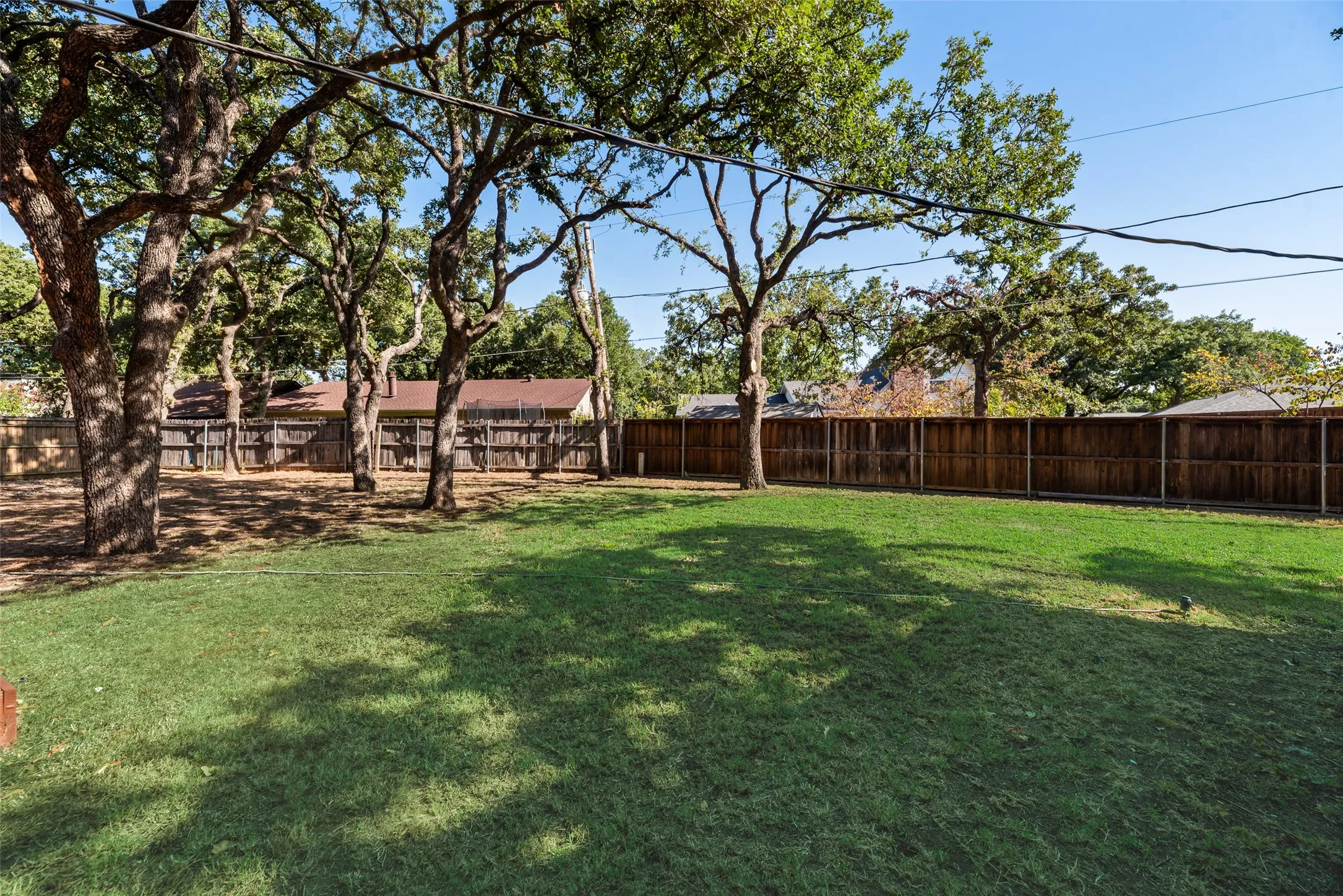 Massive backyard!