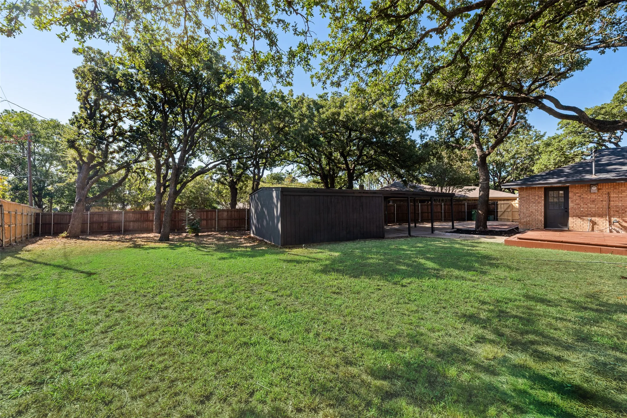 Massive backyard!