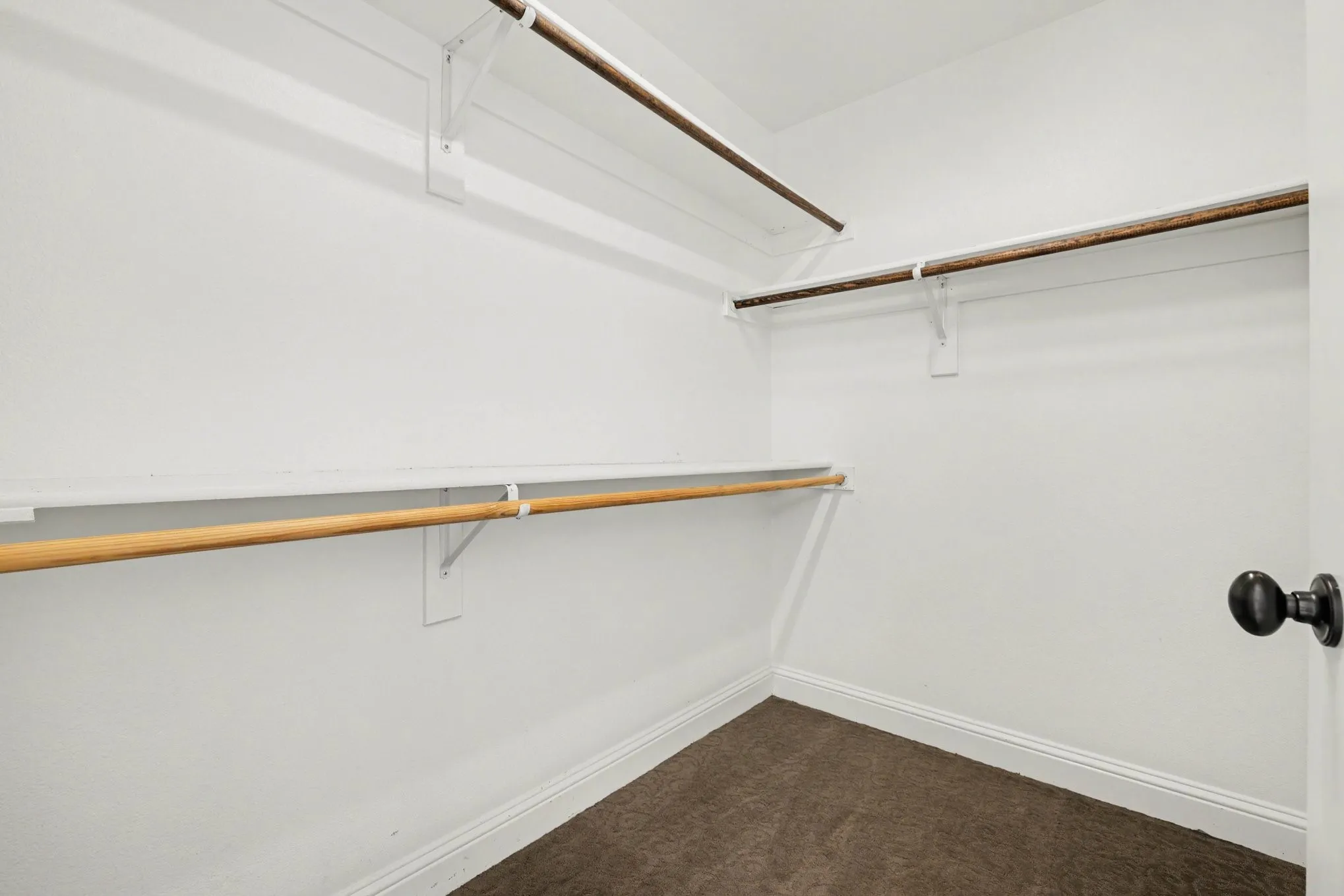 Walk-in closet featuring carpet flooring, built-in shelving, and clothes rods