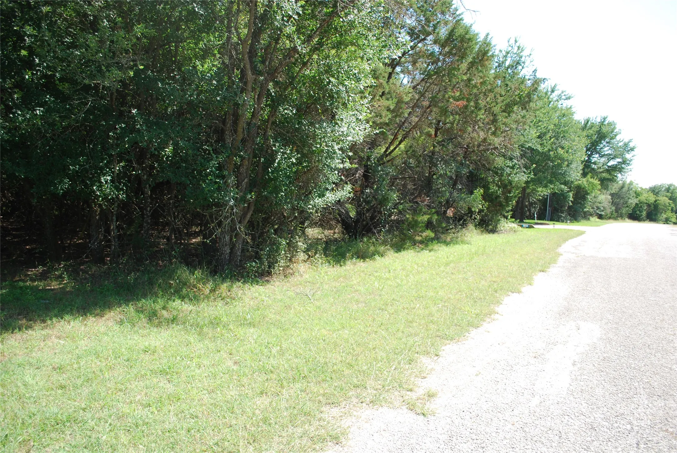 Unimproved Land For Sale in Hill County , 35033 Oak Wood Drive, Whitney, Texas 76692, 0, 0, Garage spaces, 0 Sqft, built in 0, mls#21361239, Real Estate Agent in Whitney, Homes For Sale in Hill county, Homes For Sale in Whitney, Realtor in Whitney Texas, Real Estate Brokerage Independent Realty Texas, Luminita Cordes Realtor