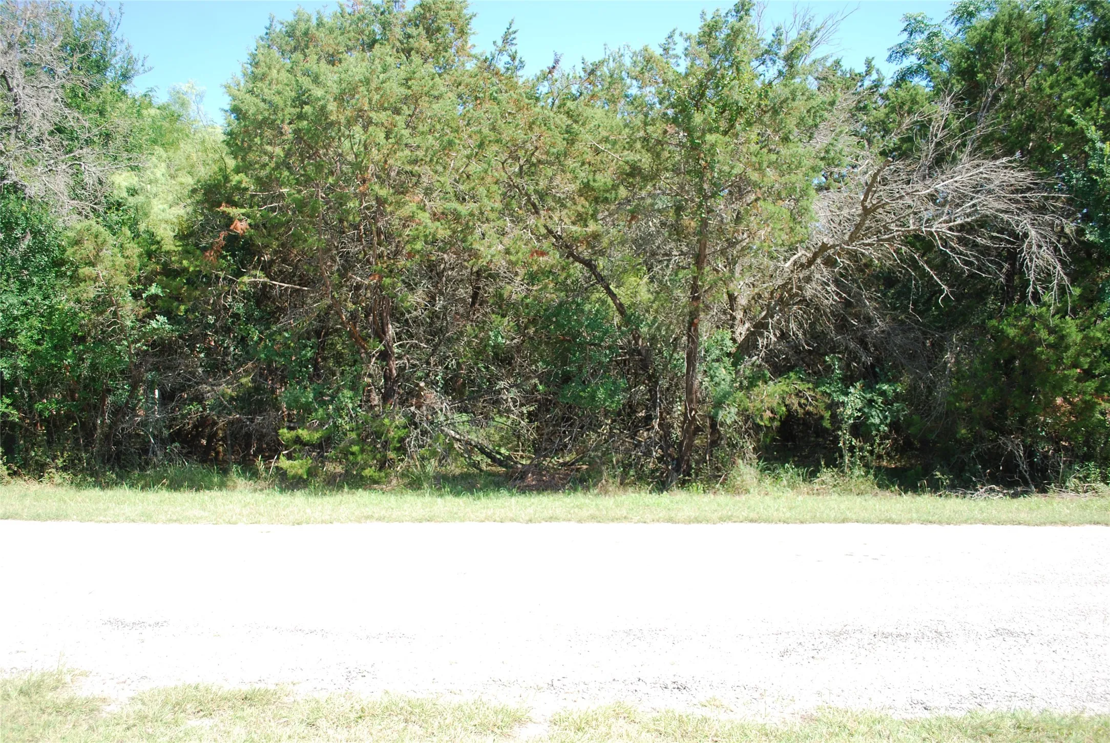 Unimproved Land For Sale in Hill County , 35033 Oak Wood Drive, Whitney, Texas 76692, 0, 0, Garage spaces, 0 Sqft, built in 0, mls#21361239, Real Estate Agent in Whitney, Homes For Sale in Hill county, Homes For Sale in Whitney, Realtor in Whitney Texas, Real Estate Brokerage Independent Realty Texas, Luminita Cordes Realtor