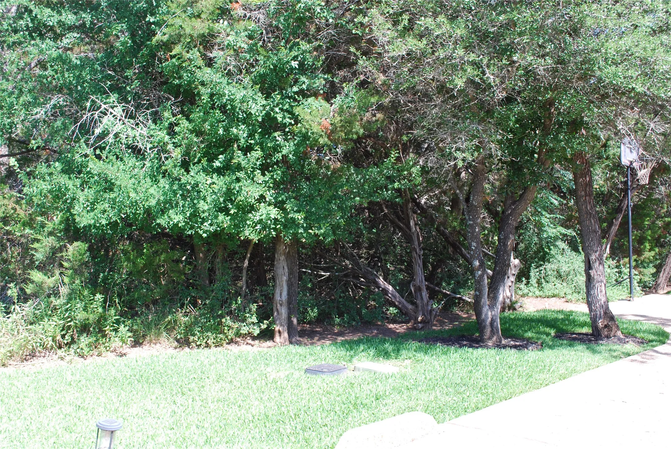 Unimproved Land For Sale in Hill County , 35033 Oak Wood Drive, Whitney, Texas 76692, 0, 0, Garage spaces, 0 Sqft, built in 0, mls#21361239, Real Estate Agent in Whitney, Homes For Sale in Hill county, Homes For Sale in Whitney, Realtor in Whitney Texas, Real Estate Brokerage Independent Realty Texas, Luminita Cordes Realtor