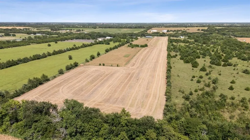 Unimproved Land For Sale in Collin County , TBD CR 632, Blue Ridge, Texas 75424, 0, 0, Garage spaces, 0 Sqft, built in 0, Price $450,000, mls#21365871, Real Estate Agent in Blue Ridge, Homes For Sale in Collin county, Homes For Sale in Blue Ridge, Realtor in Blue Ridge Texas, Real Estate Brokerage Independent Realty Texas, Luminita Cordes Realtor