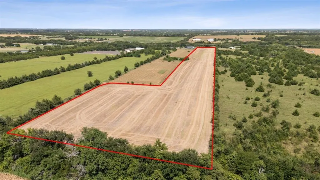 Unimproved Land For Sale in Collin County , TBD CR 632, Blue Ridge, Texas 75424, 0, 0, Garage spaces, 0 Sqft, built in 0, Price $450,000, mls#21365871, Real Estate Agent in Blue Ridge, Homes For Sale in Collin county, Homes For Sale in Blue Ridge, Realtor in Blue Ridge Texas, Real Estate Brokerage Independent Realty Texas, Luminita Cordes Realtor
