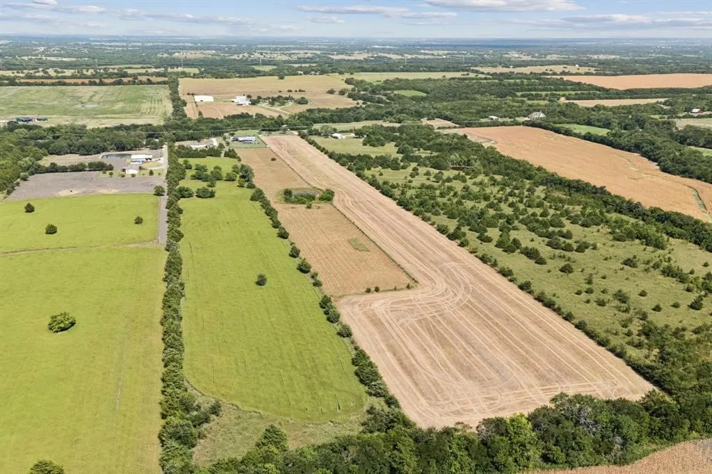 Unimproved Land For Sale in Collin County , TBD CR 632, Blue Ridge, Texas 75424, 0, 0, Garage spaces, 0 Sqft, built in 0, Price $450,000, mls#21365871, Real Estate Agent in Blue Ridge, Homes For Sale in Collin county, Homes For Sale in Blue Ridge, Realtor in Blue Ridge Texas, Real Estate Brokerage Independent Realty Texas, Luminita Cordes Realtor