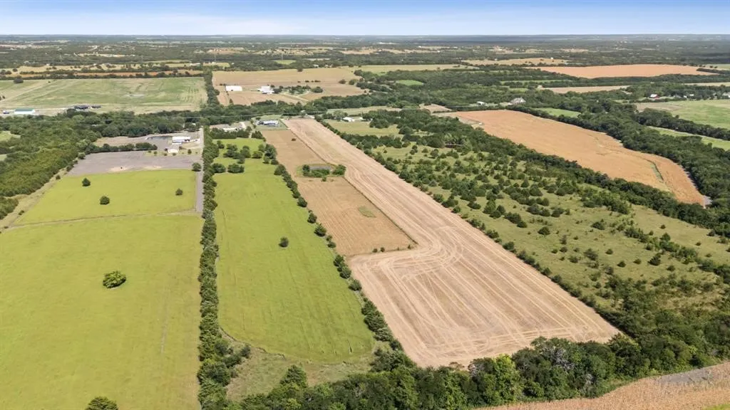 Unimproved Land For Sale in Collin County , TBD CR 632, Blue Ridge, Texas 75424, 0, 0, Garage spaces, 0 Sqft, built in 0, Price $450,000, mls#21365871, Real Estate Agent in Blue Ridge, Homes For Sale in Collin county, Homes For Sale in Blue Ridge, Realtor in Blue Ridge Texas, Real Estate Brokerage Independent Realty Texas, Luminita Cordes Realtor