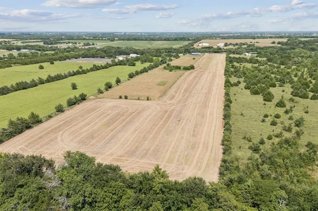 Unimproved Land For Sale in Collin County , TBD CR 632, Blue Ridge, Texas 75424, 0, 0, Garage spaces, 0 Sqft, built in 0, Price $450,000, mls#21365871, Real Estate Agent in Blue Ridge, Homes For Sale in Collin county, Homes For Sale in Blue Ridge, Realtor in Blue Ridge Texas, Real Estate Brokerage Independent Realty Texas, Luminita Cordes Realtor