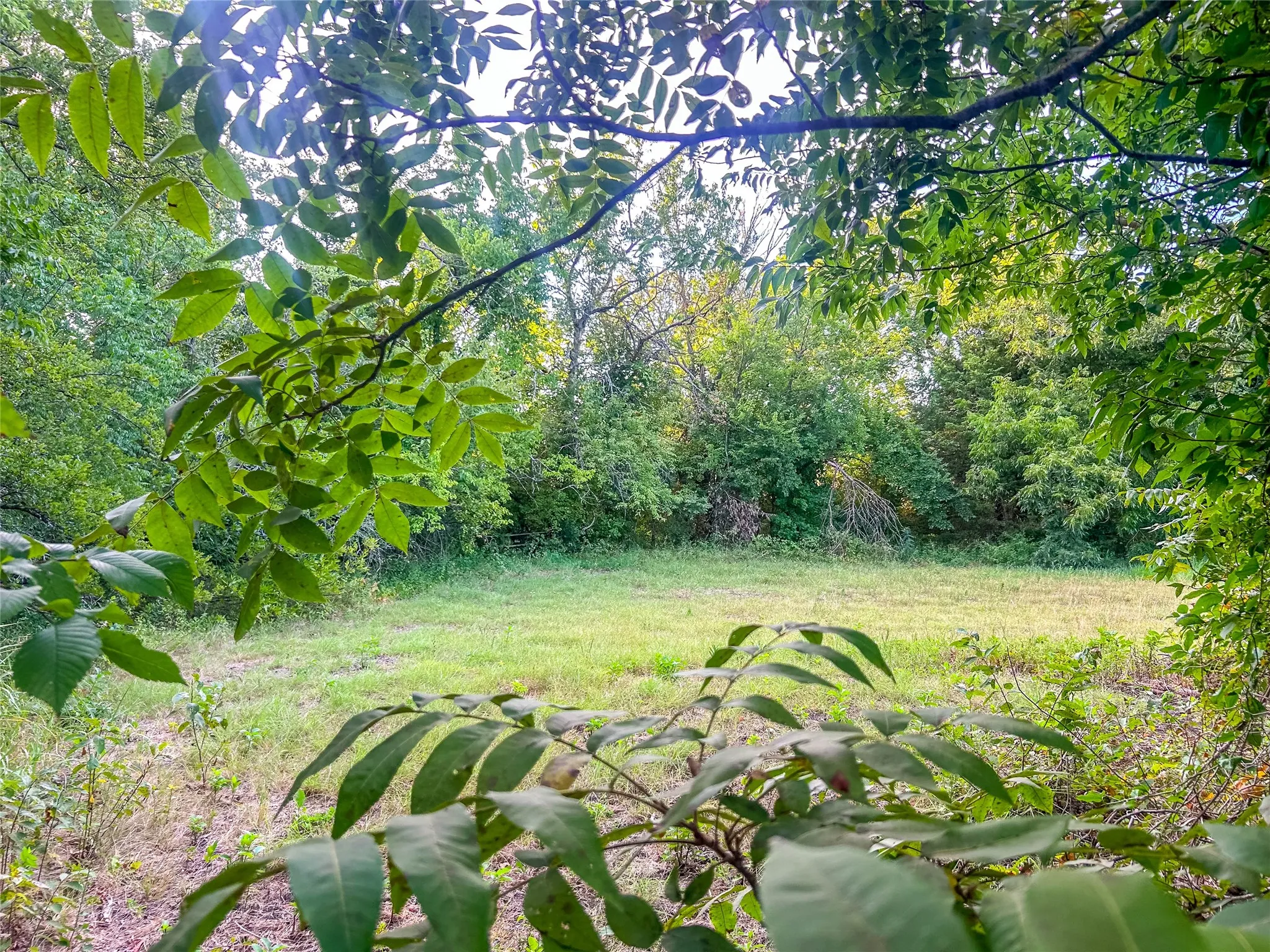 Improved Land For Sale in Collin County , 5201 Windmill Lane, Celina, Texas 75009, 0, 0, Garage spaces, 0 Sqft, built in 1986, mls#21366136, Real Estate Agent in Celina, Homes For Sale in Collin county, Homes For Sale in Celina, Realtor in Celina Texas, Real Estate Brokerage Independent Realty Texas, Luminita Cordes Realtor