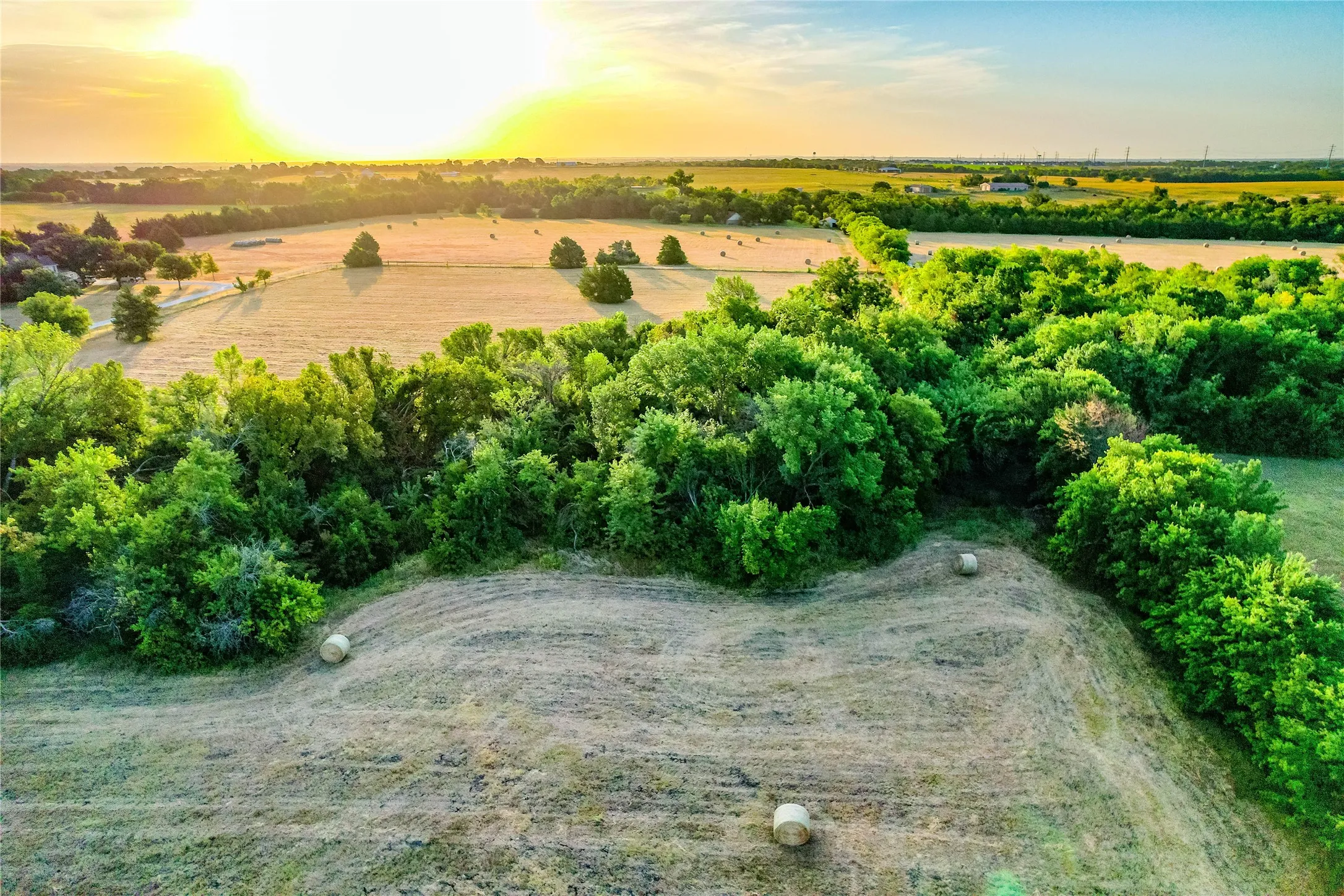 Expansive agricultural landscape featuring open fields, scattered trees, and green foliage